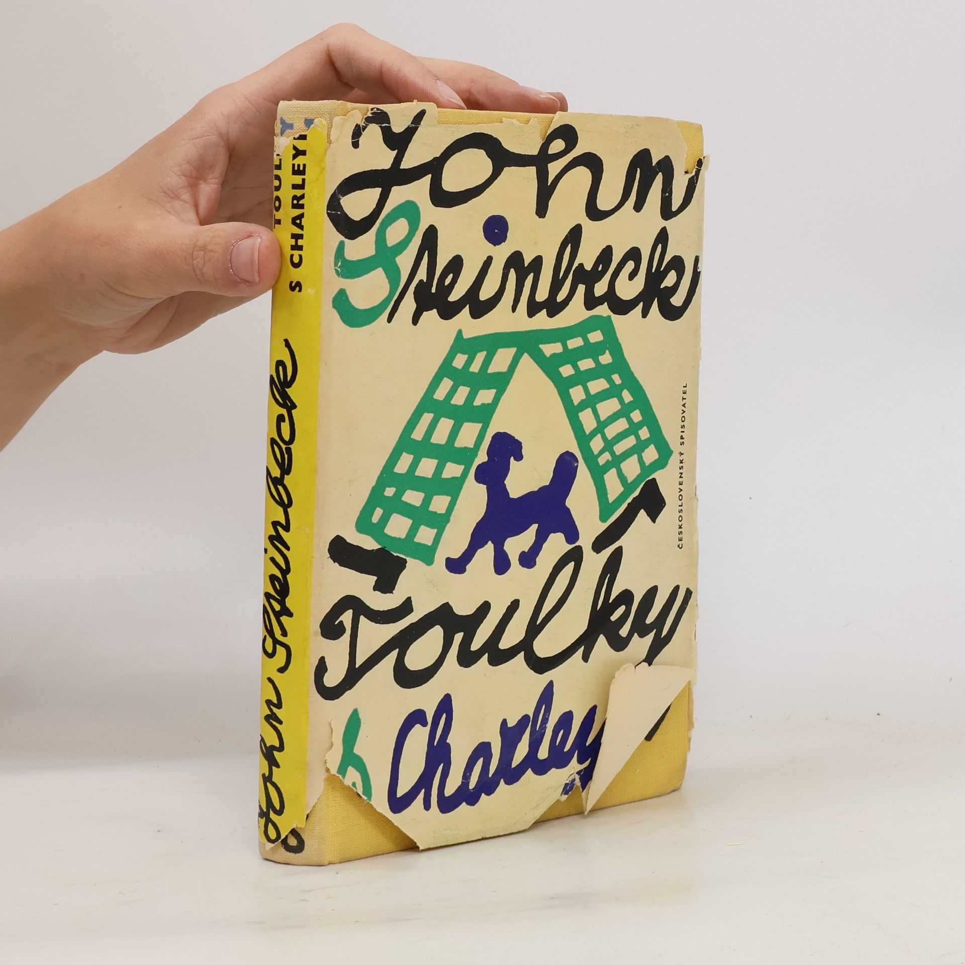 Jan Werich Toulky s Charleym