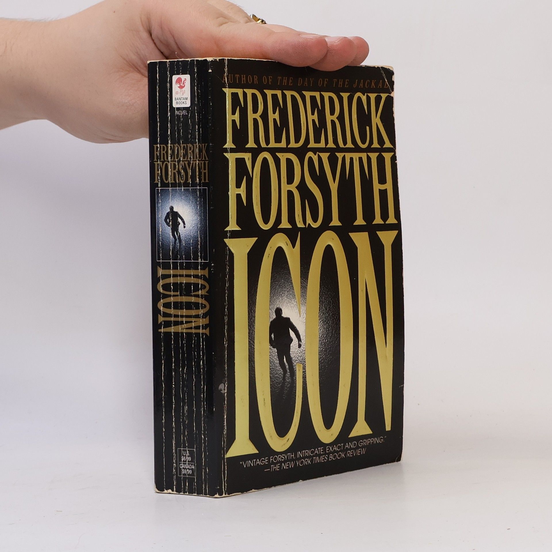 Frederick Forsyth Icon