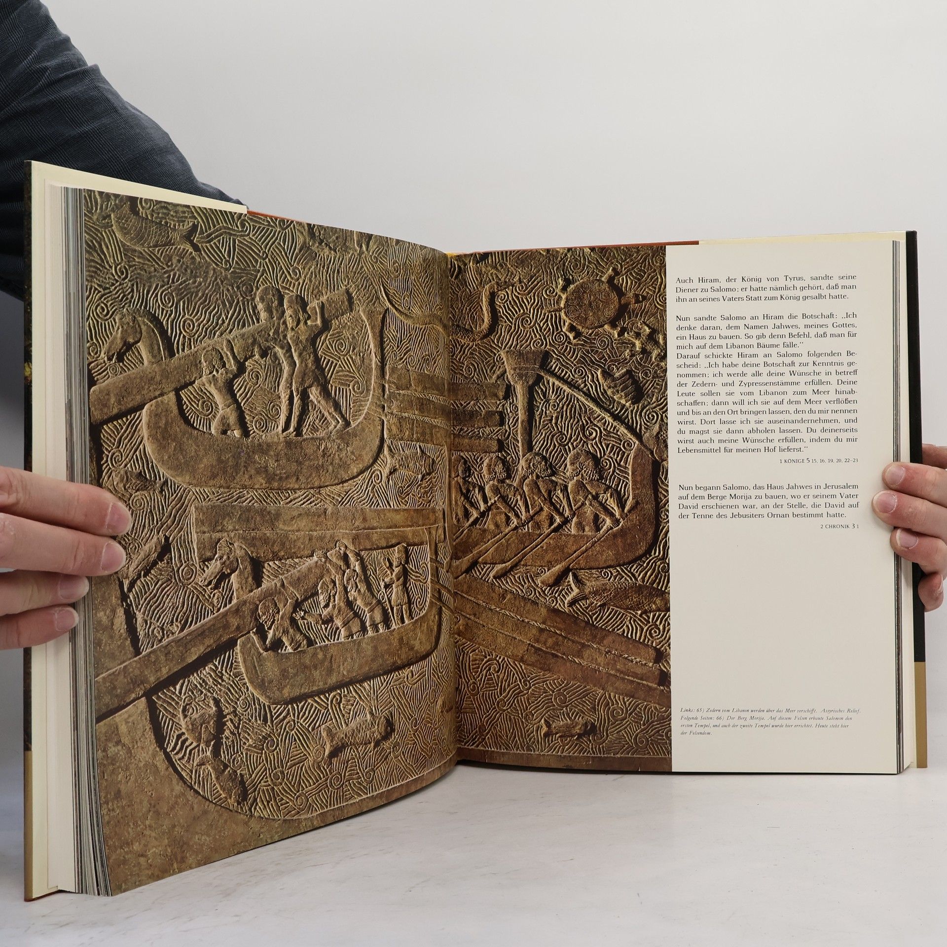 Erich Lessing Vérité et poésie de la Bible