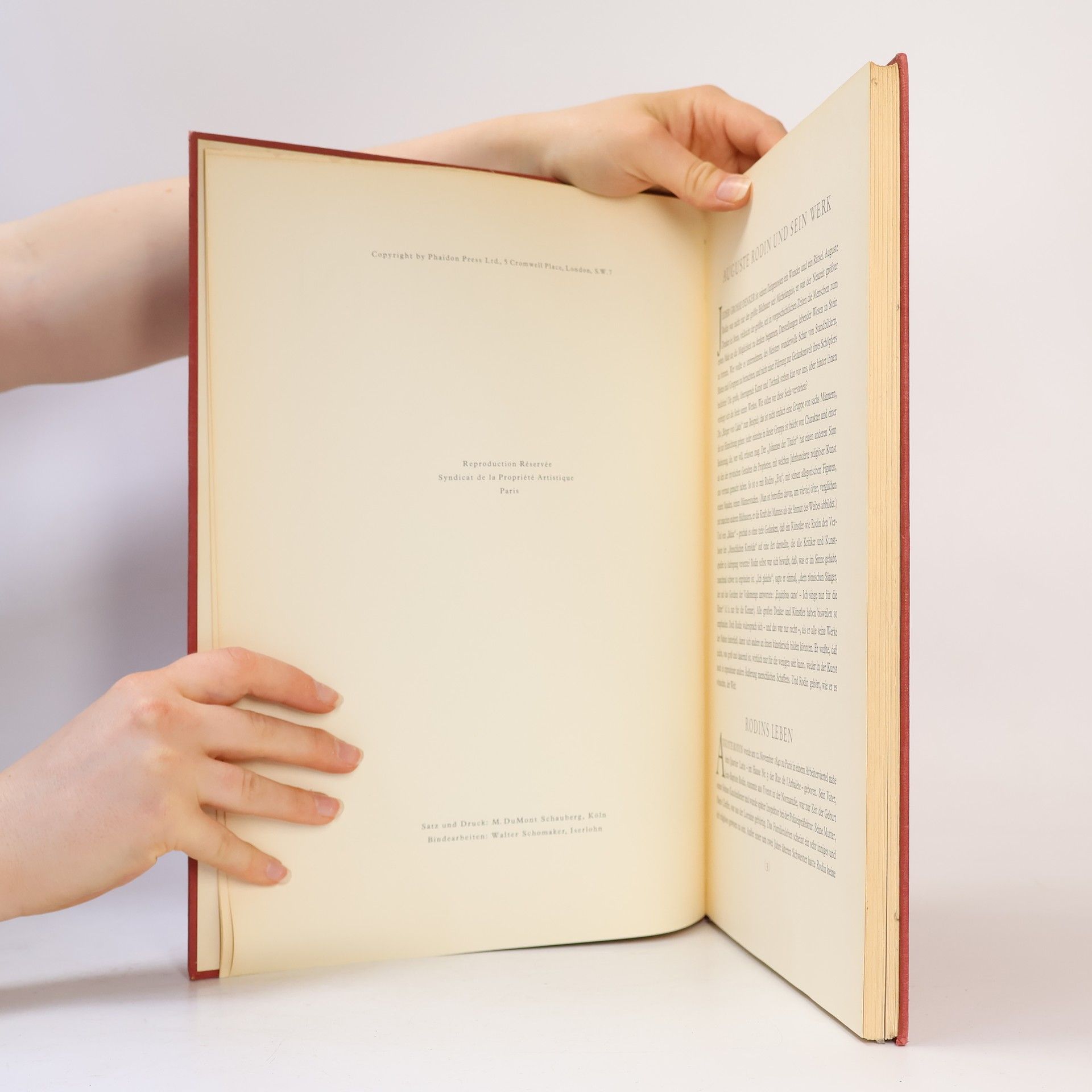 Auguste Rodin Rodin