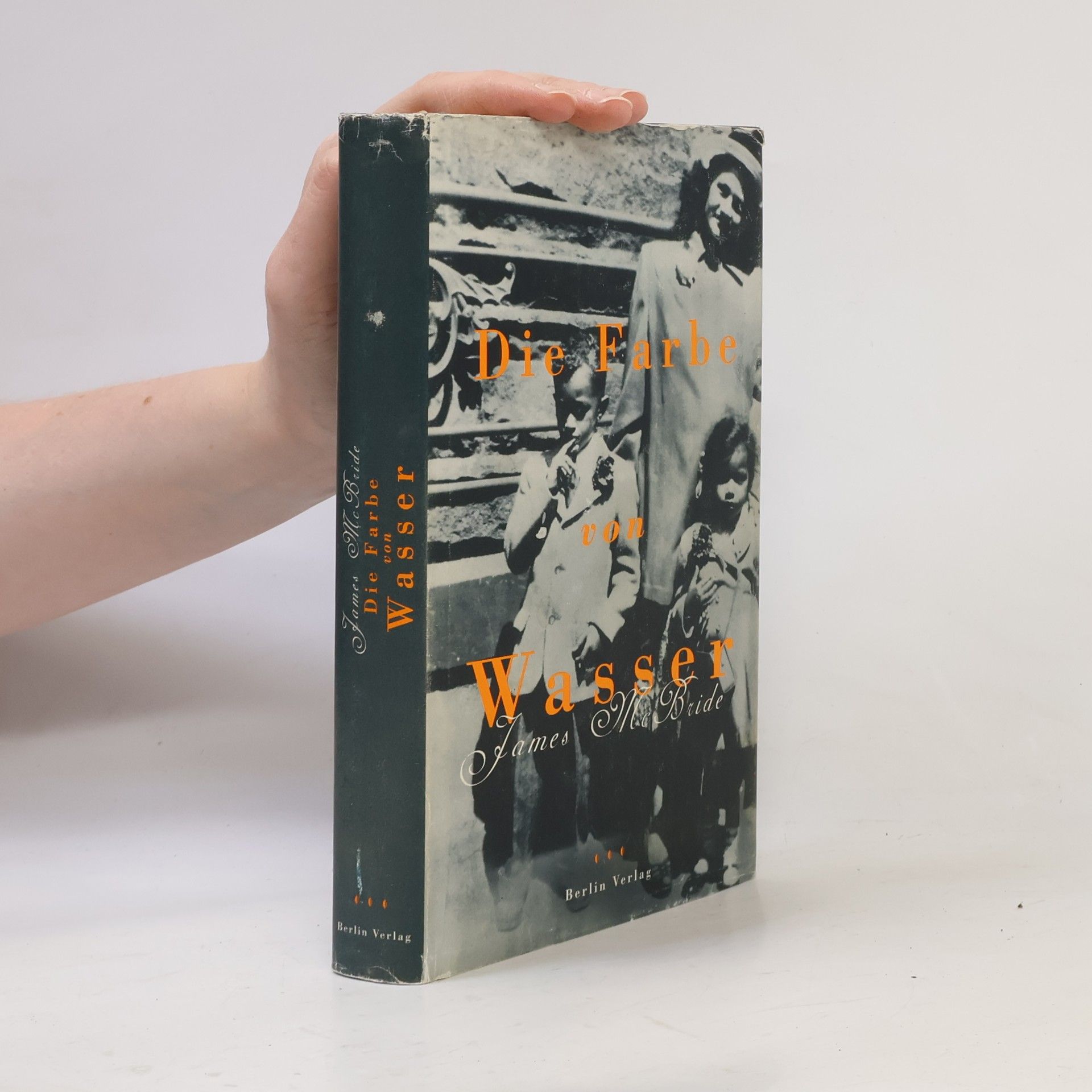 James McBride Die Farbe von Wasser