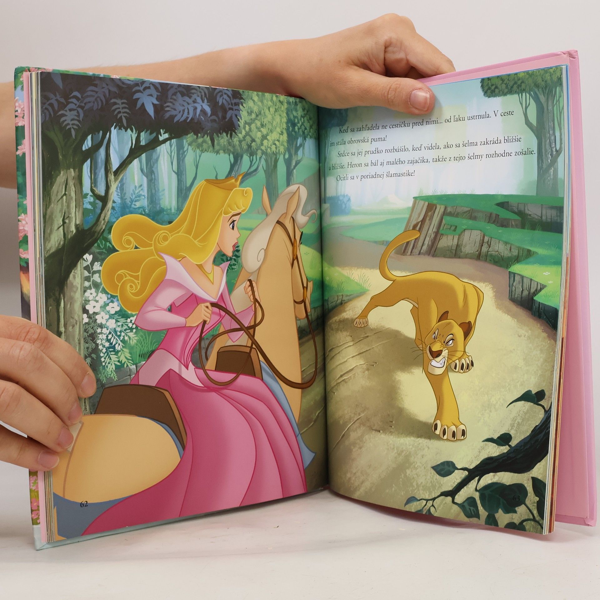 Walt Disney Kráľovskí šampióni