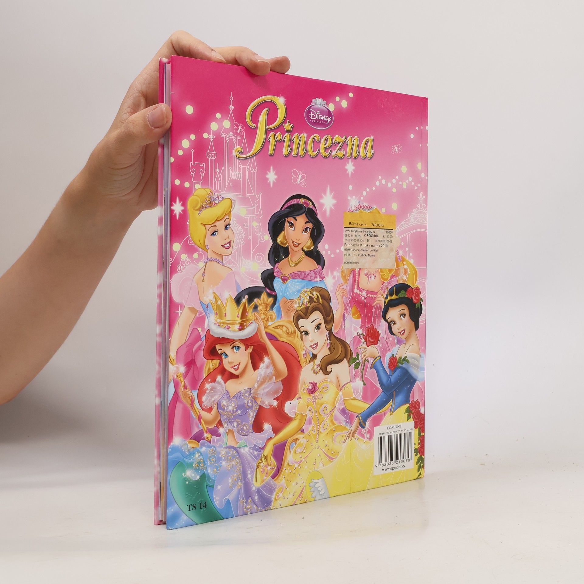 Walt Disney Princezna Knížka na rok 2010