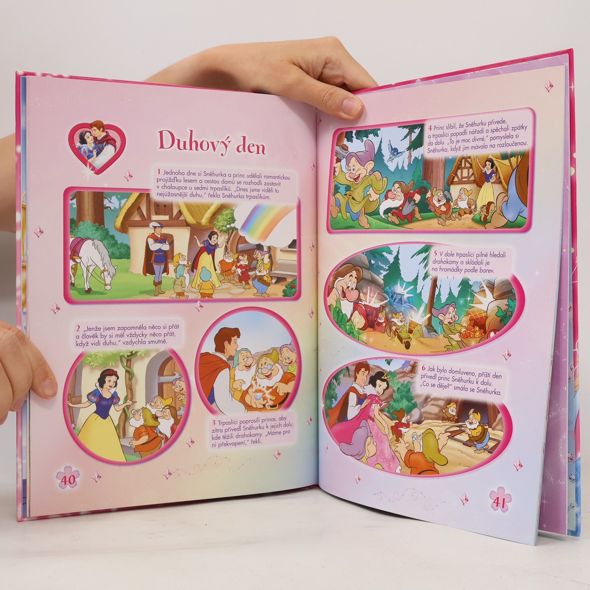 Walt Disney Princezna Knížka na rok 2010