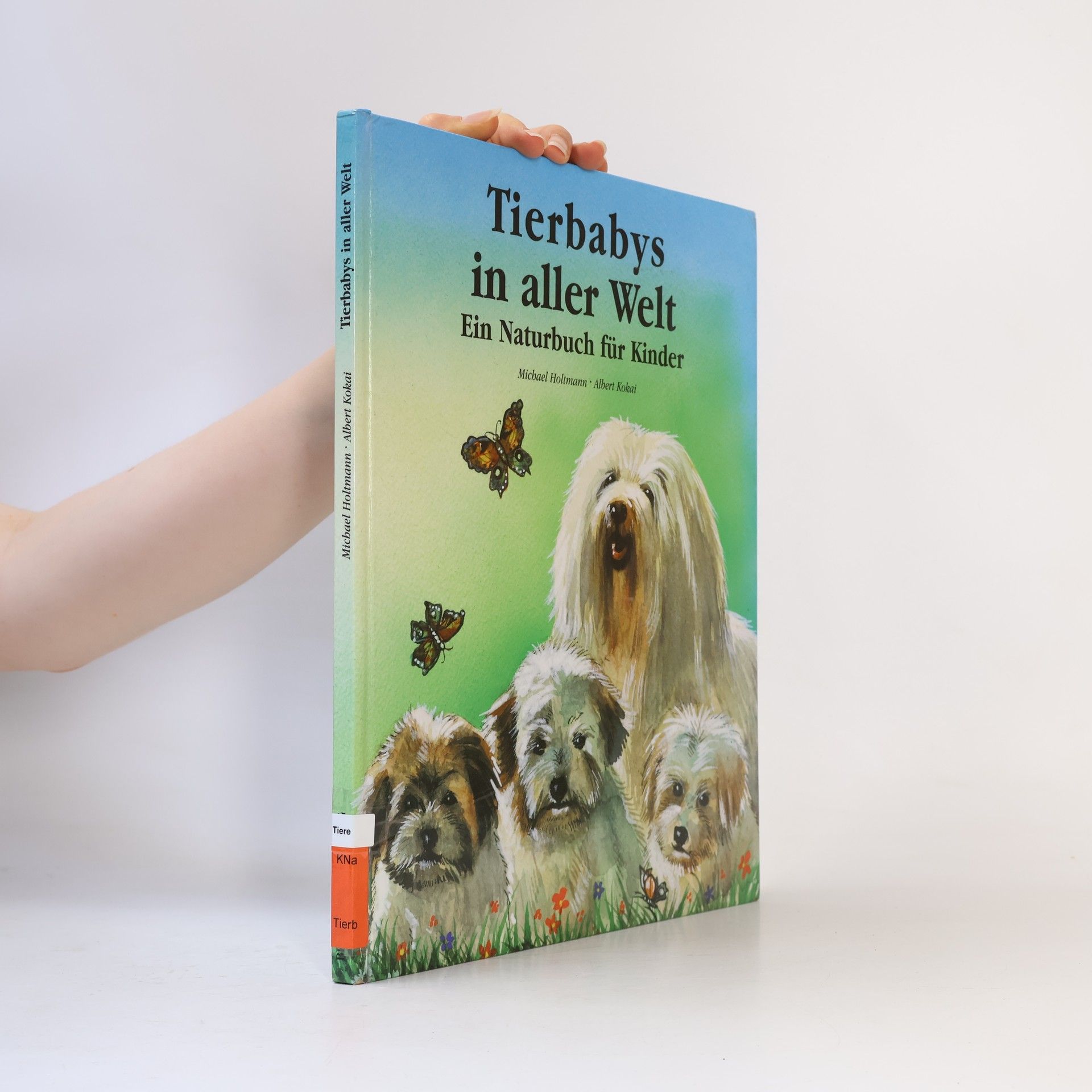 Michael Holtmann Tierbabys in aller Welt