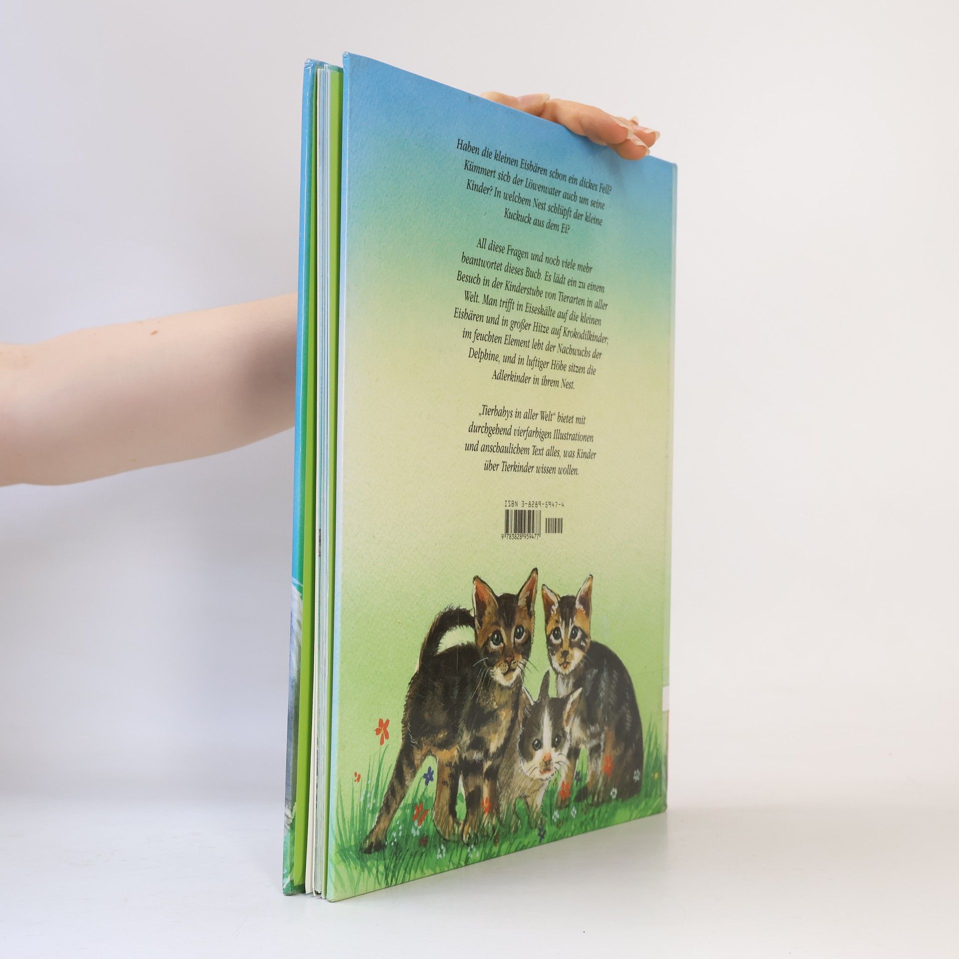 Michael Holtmann Tierbabys in aller Welt