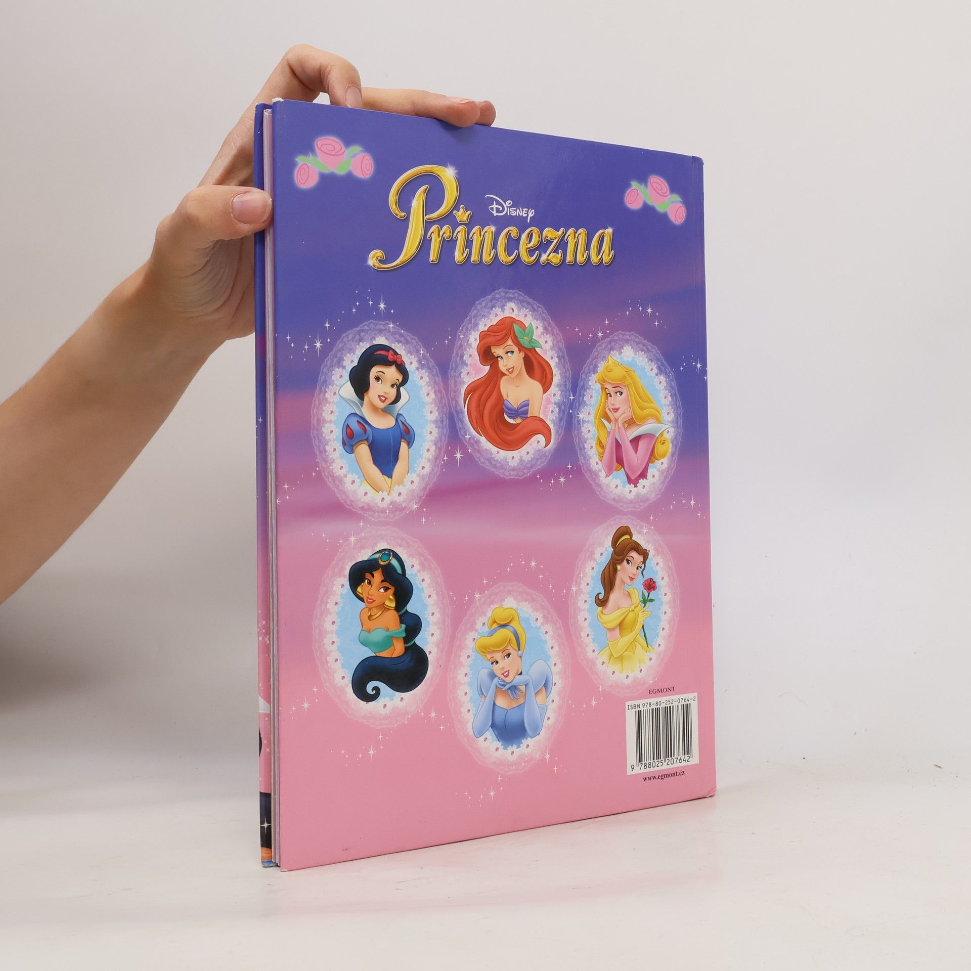 Marie Šimková Princezna: knížka na rok 2008