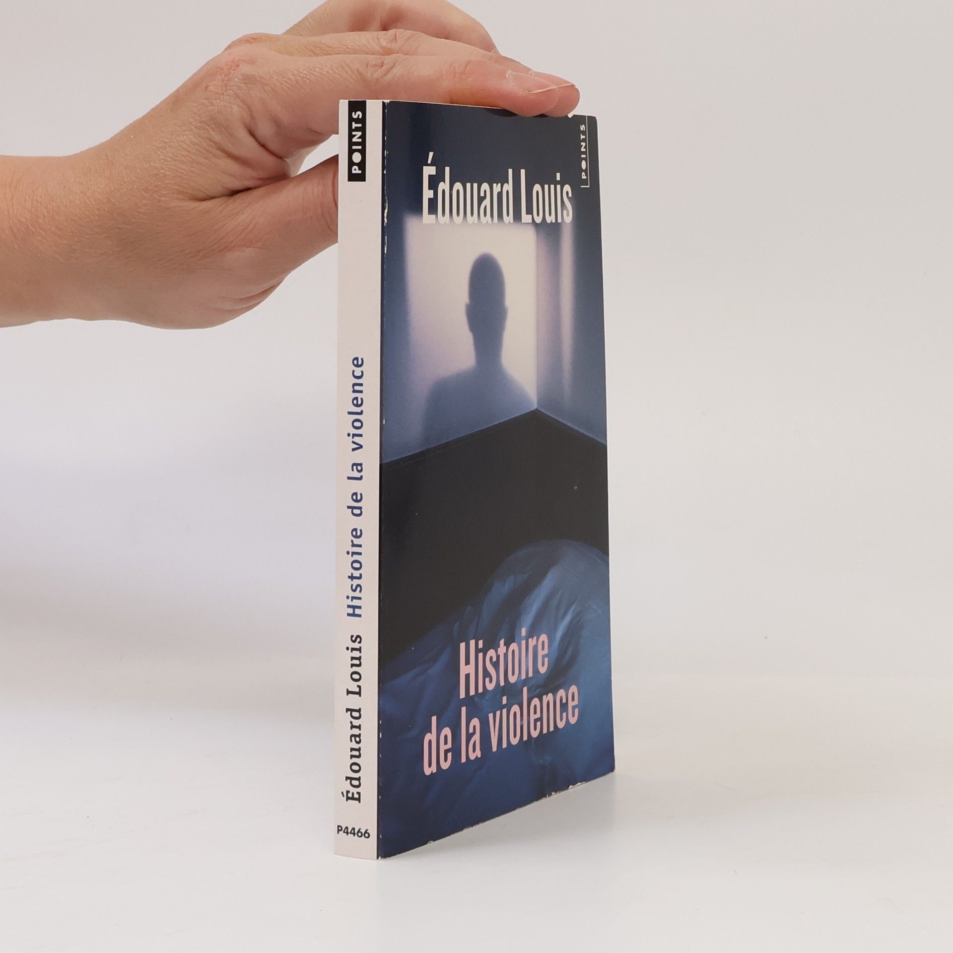 Édouard Louis Histoire de la violence