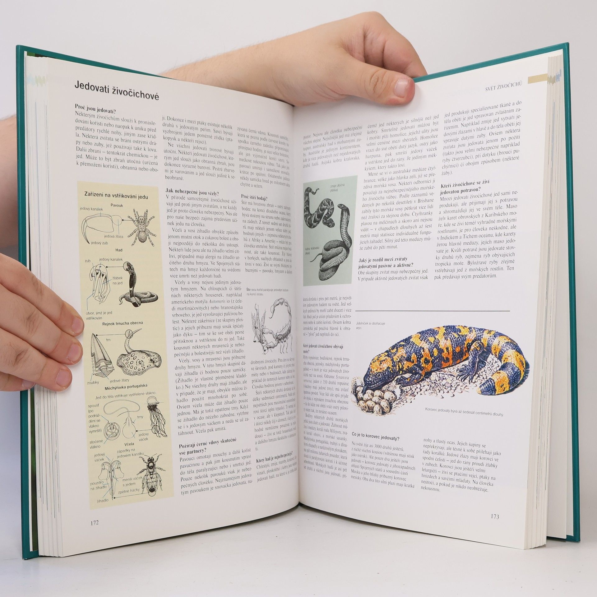 Autores varios ABC přírody