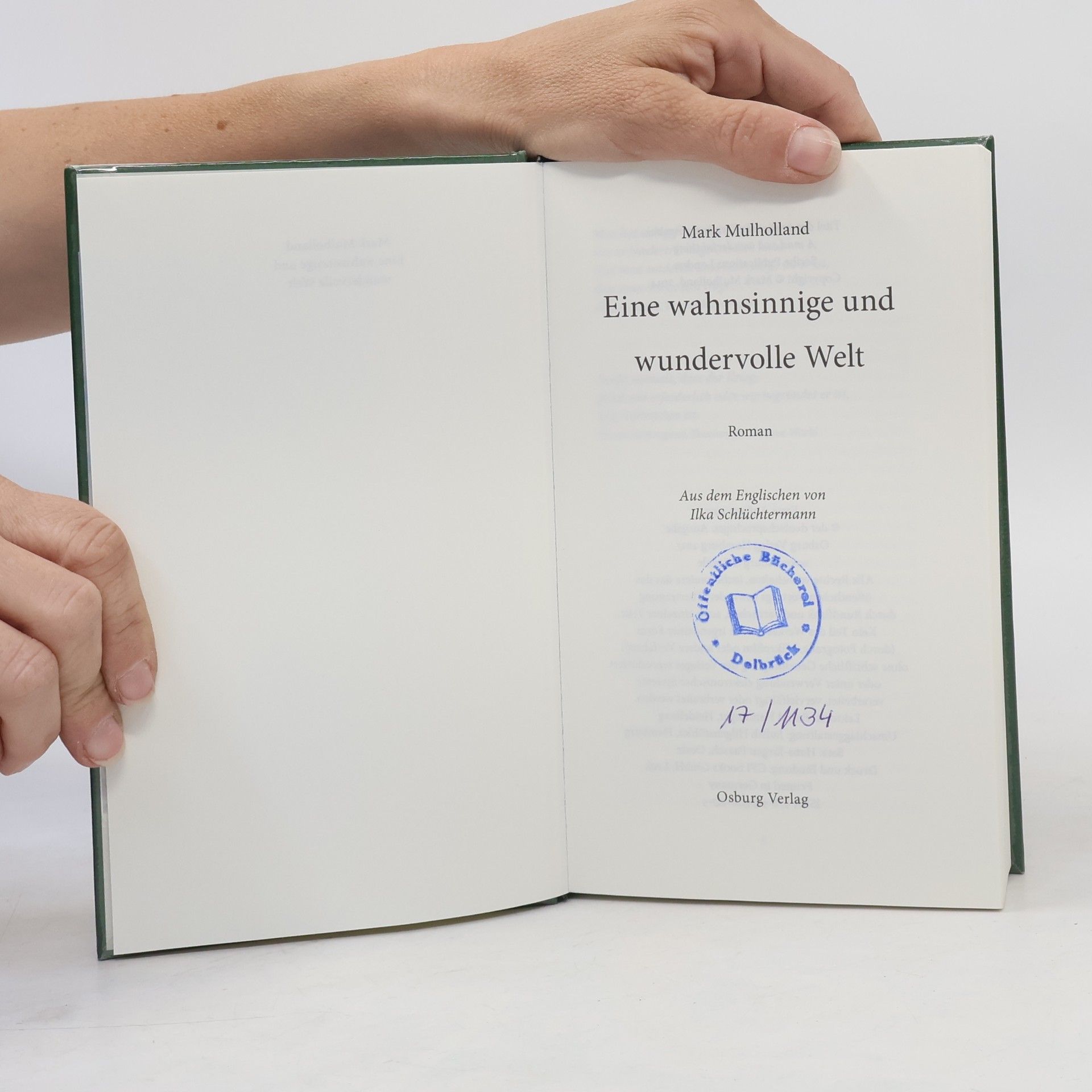 Mark Mulholland Eine wahnsinnige und wundervolle Welt
