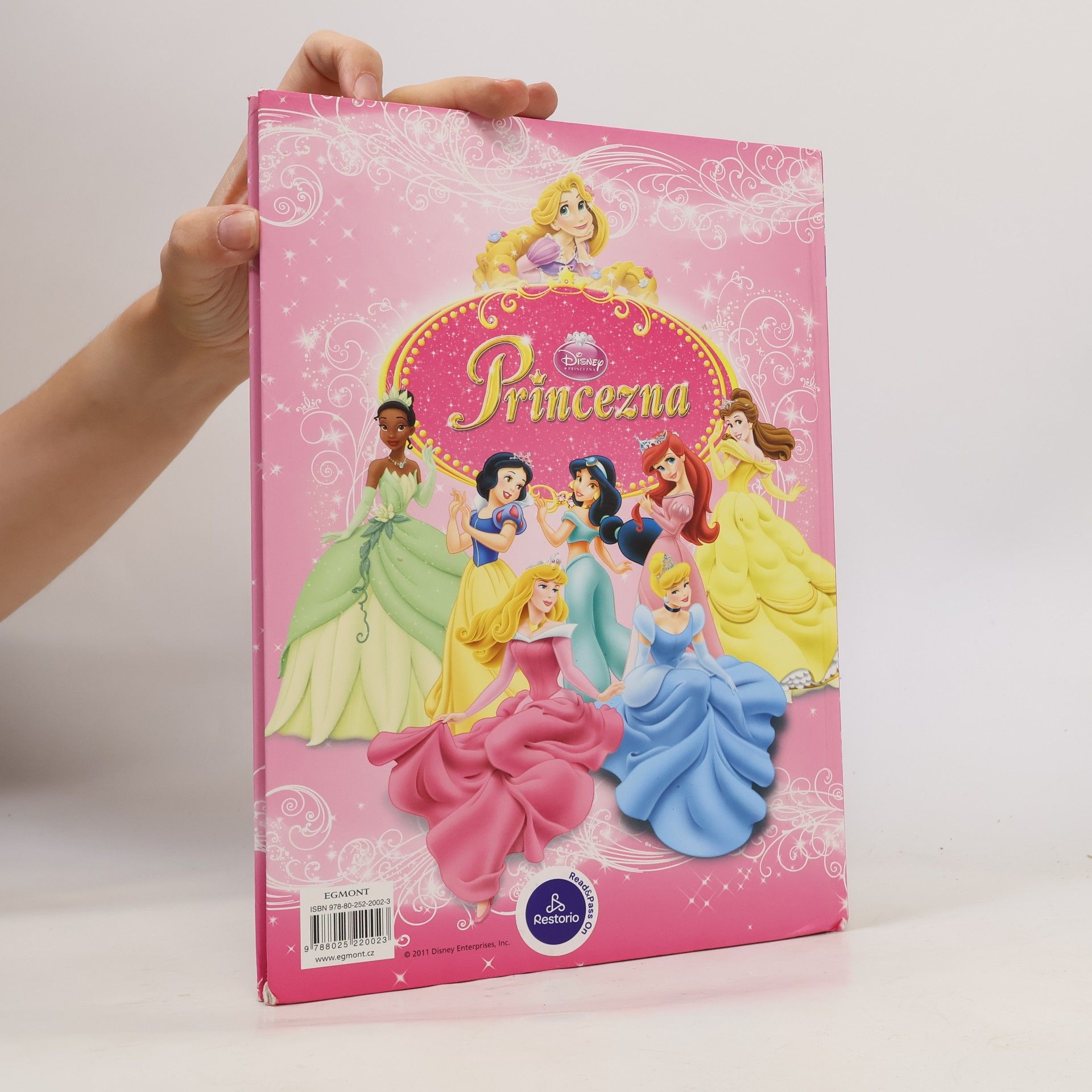 Walt Disney Princezna - Knížka na rok 2012