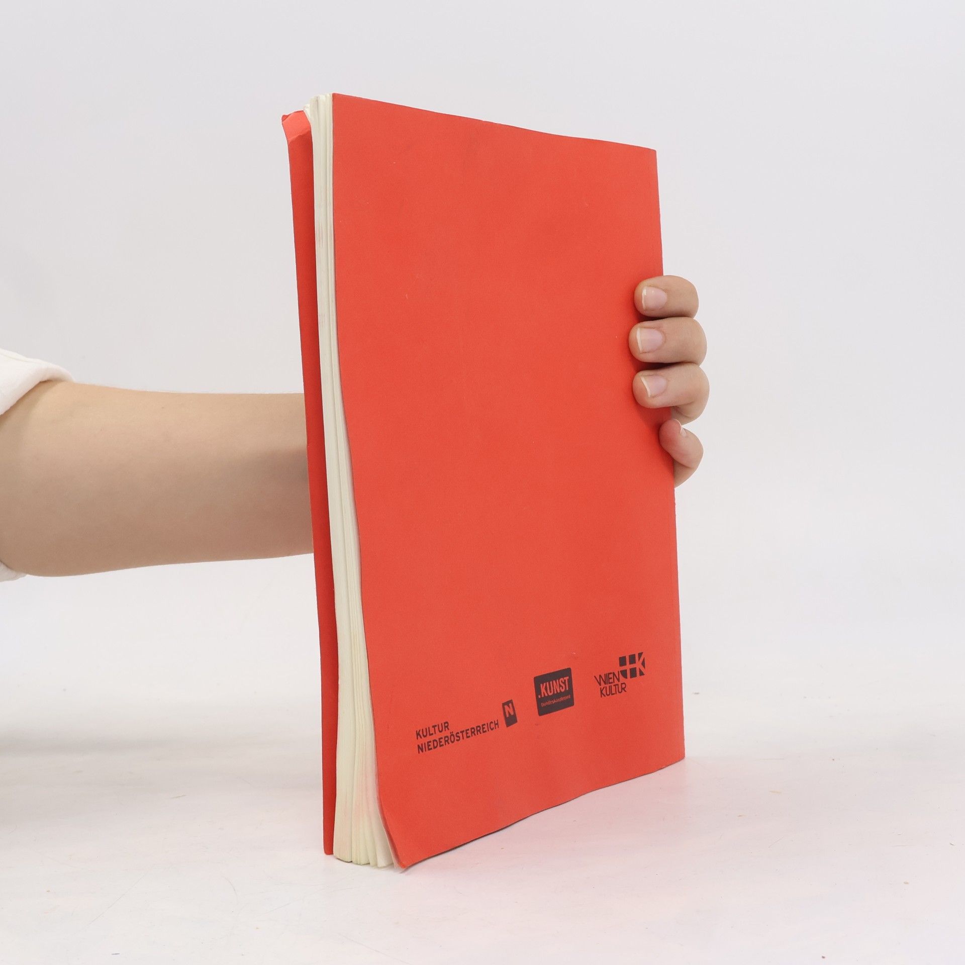 Autorenkollektiv Literarisches Österreich 2009/2