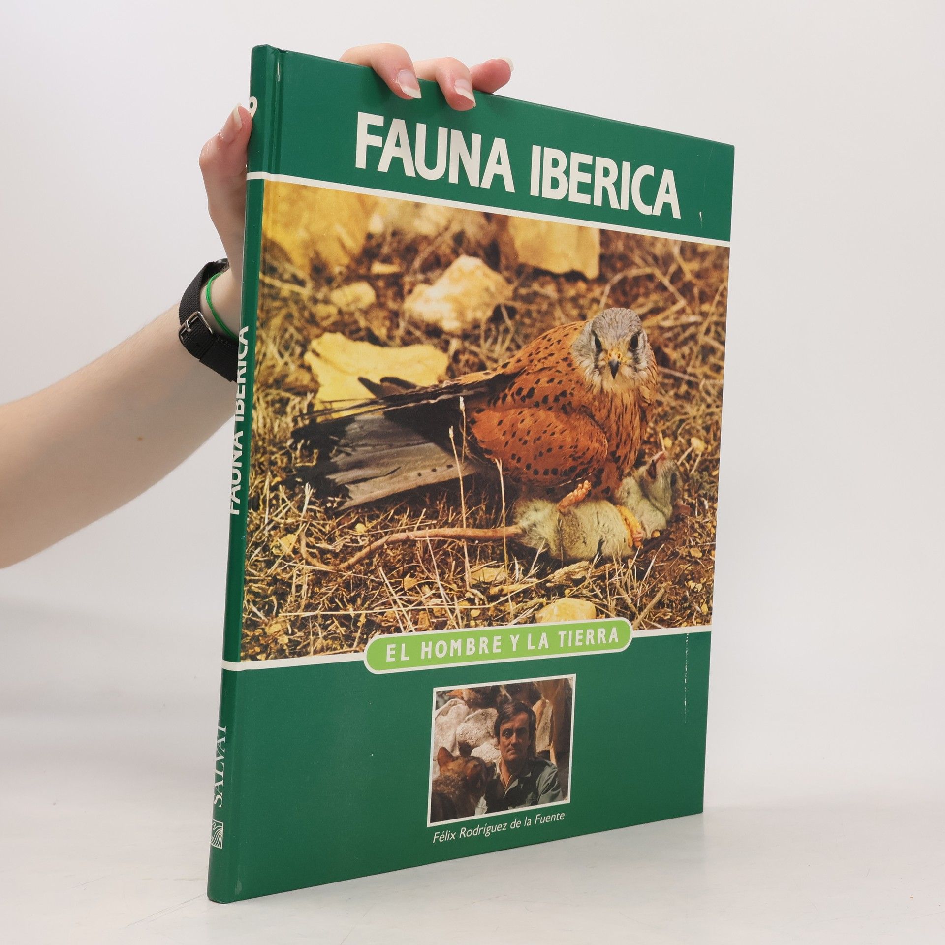 Autorenkollektiv Fauna iberica 9