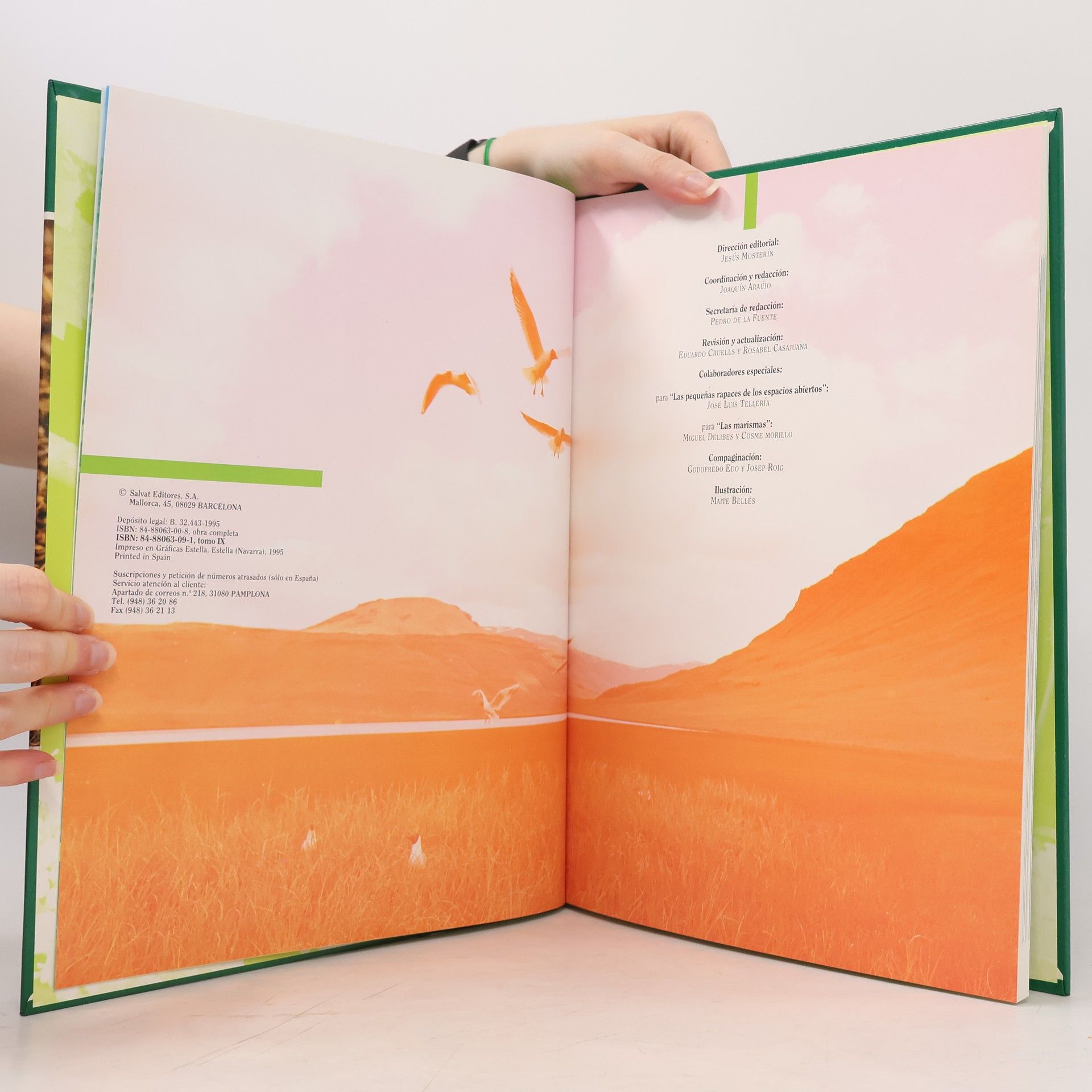 Autorenkollektiv Fauna iberica 9