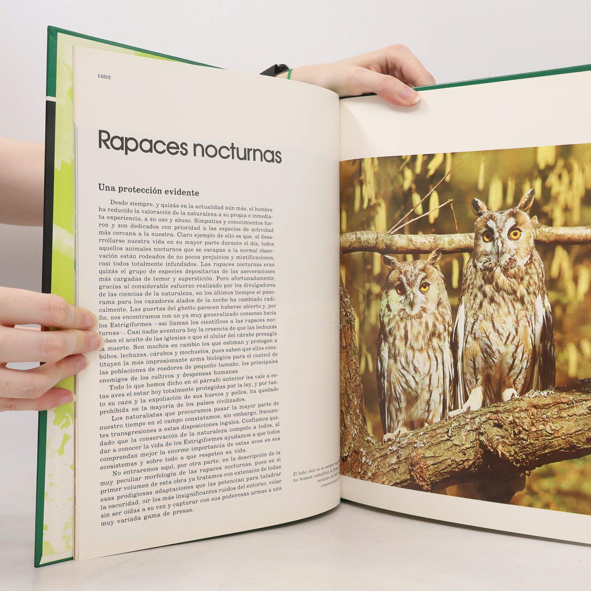 Félix Rodríguez de la Fuente Fauna Iberica 21