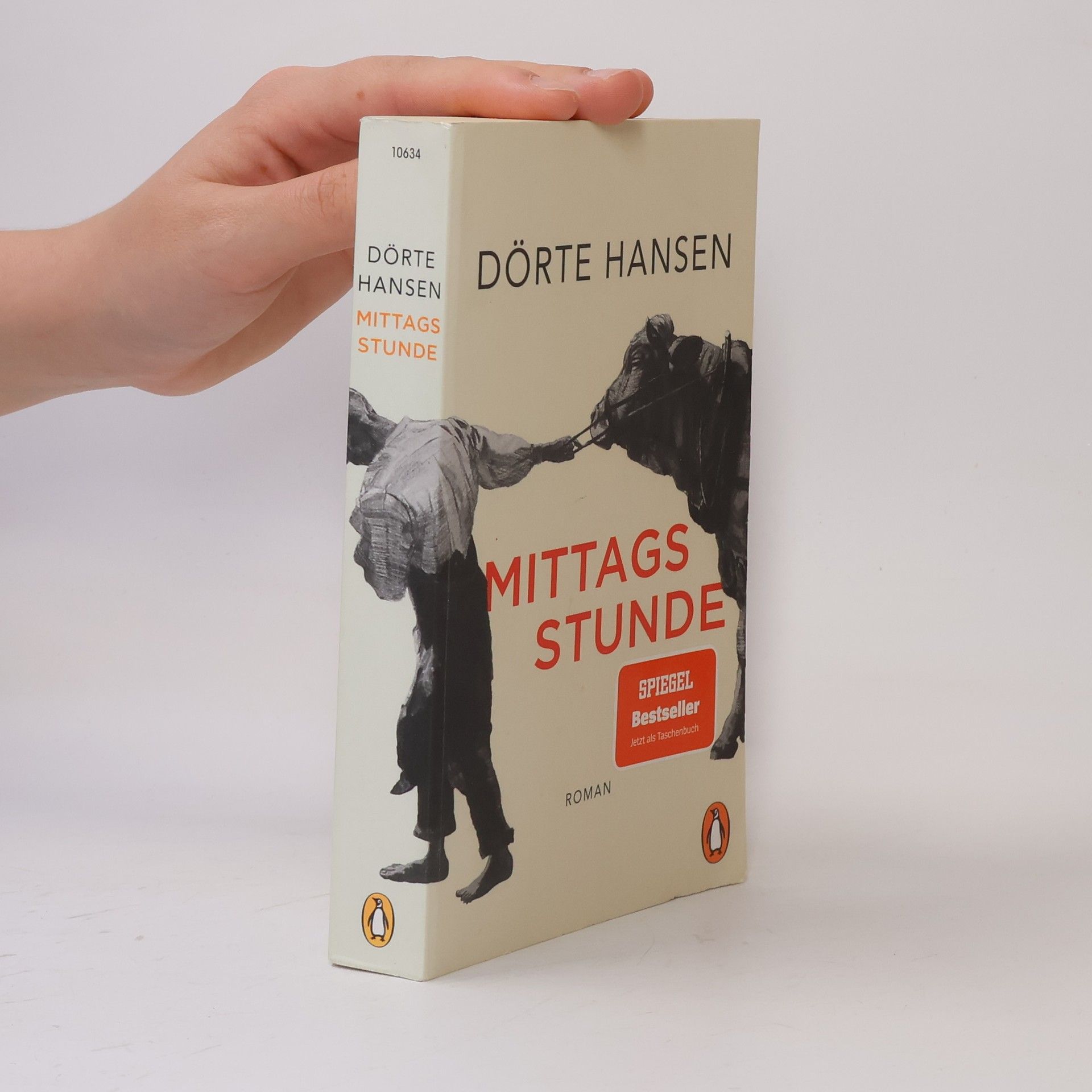 Dörte Hansen Mittagsstunde