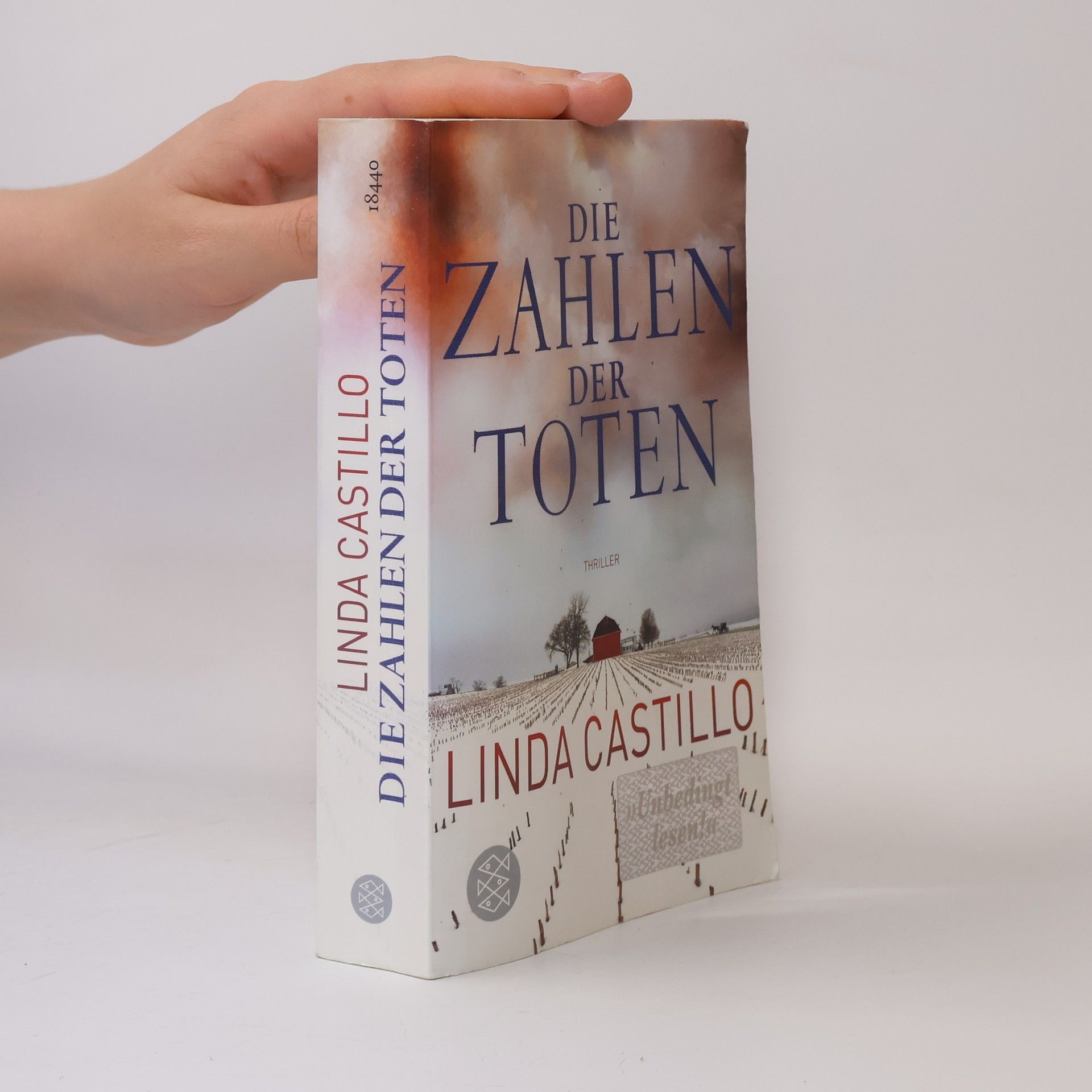 Linda Castillo Die Zahlen der Toten