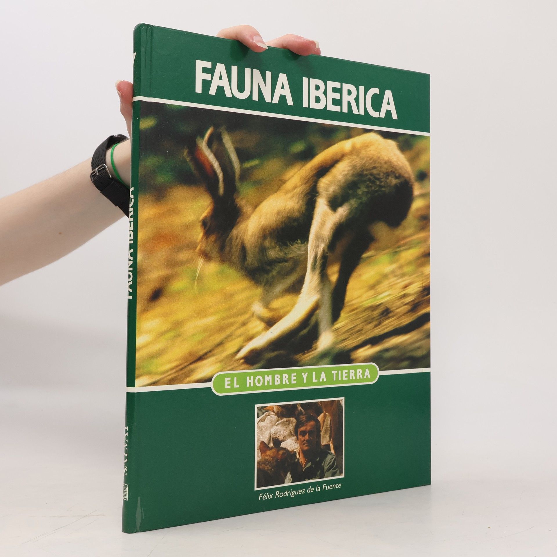 Autorenkollektiv Fauna Iberica 7