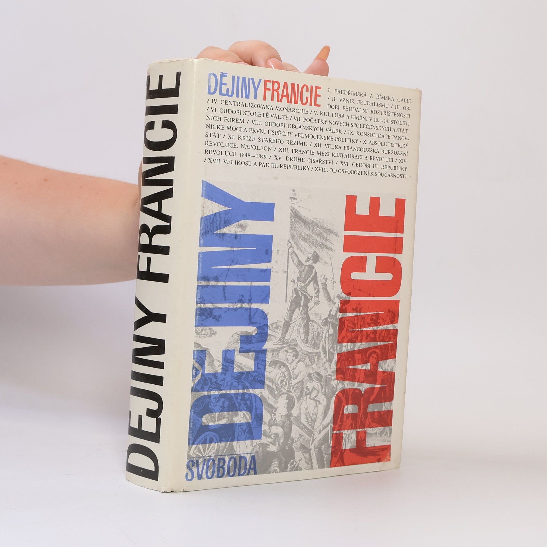 Kolektiv autorů Dějiny Francie