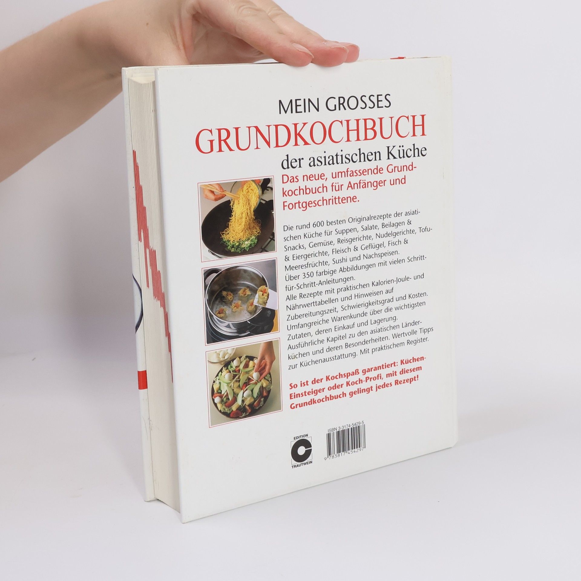 Autorenkollektiv Mein großes Grundkochbuch der Asiatischen Küche