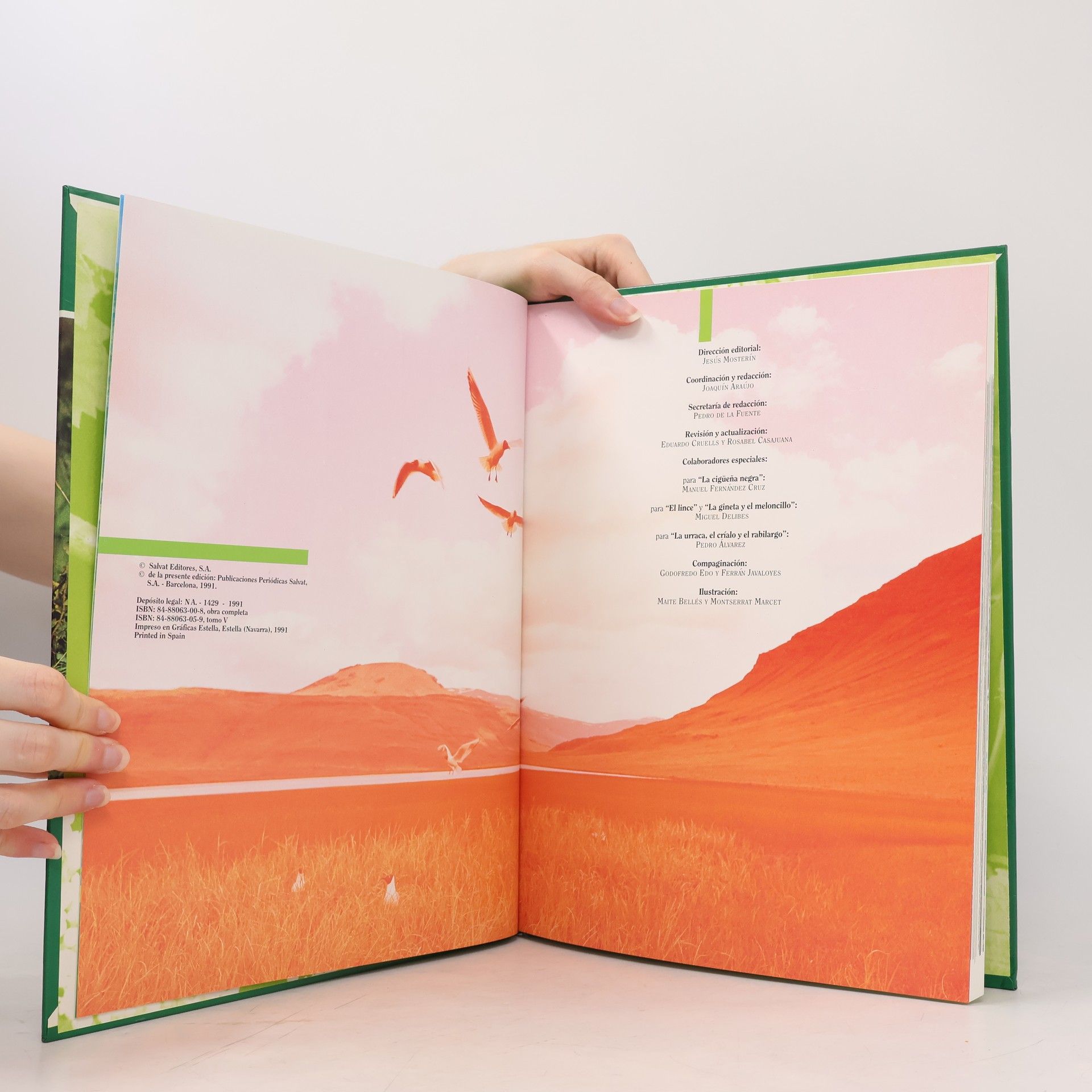 Autorenkollektiv Fauna Iberica 5