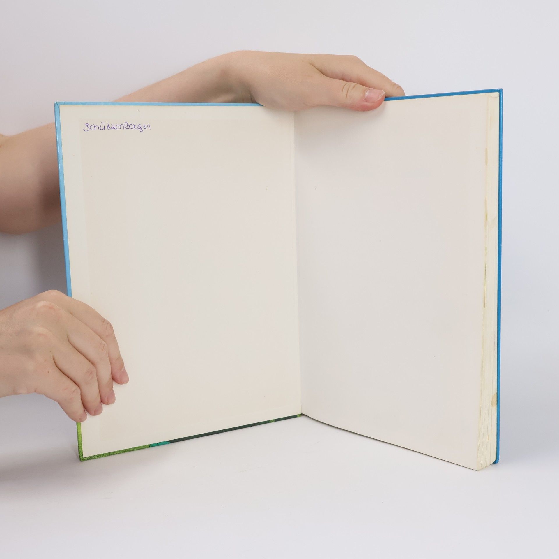Various authors Lustige Geschichten für kleine Leute