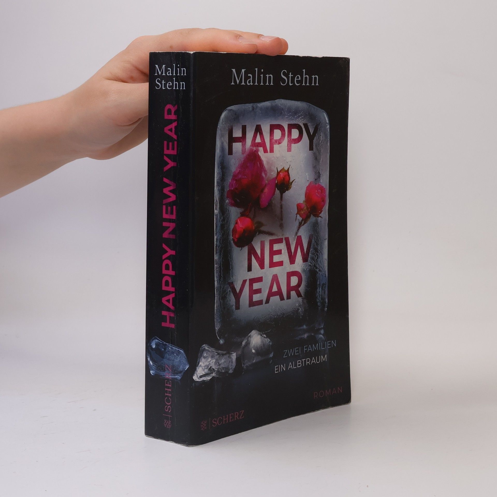 Malin Stehn Happy New Year