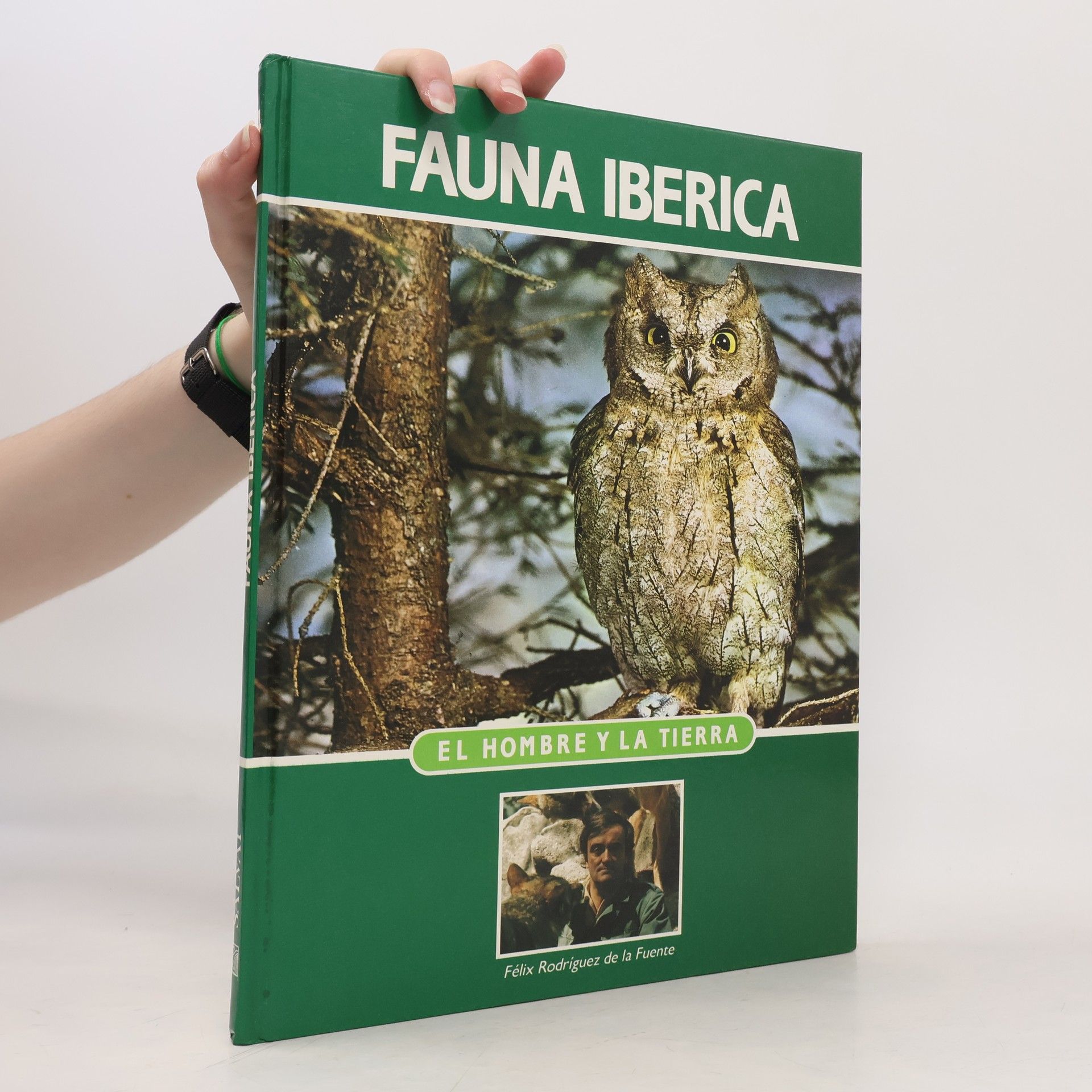 Autorenkollektiv Fauna Iberica 4