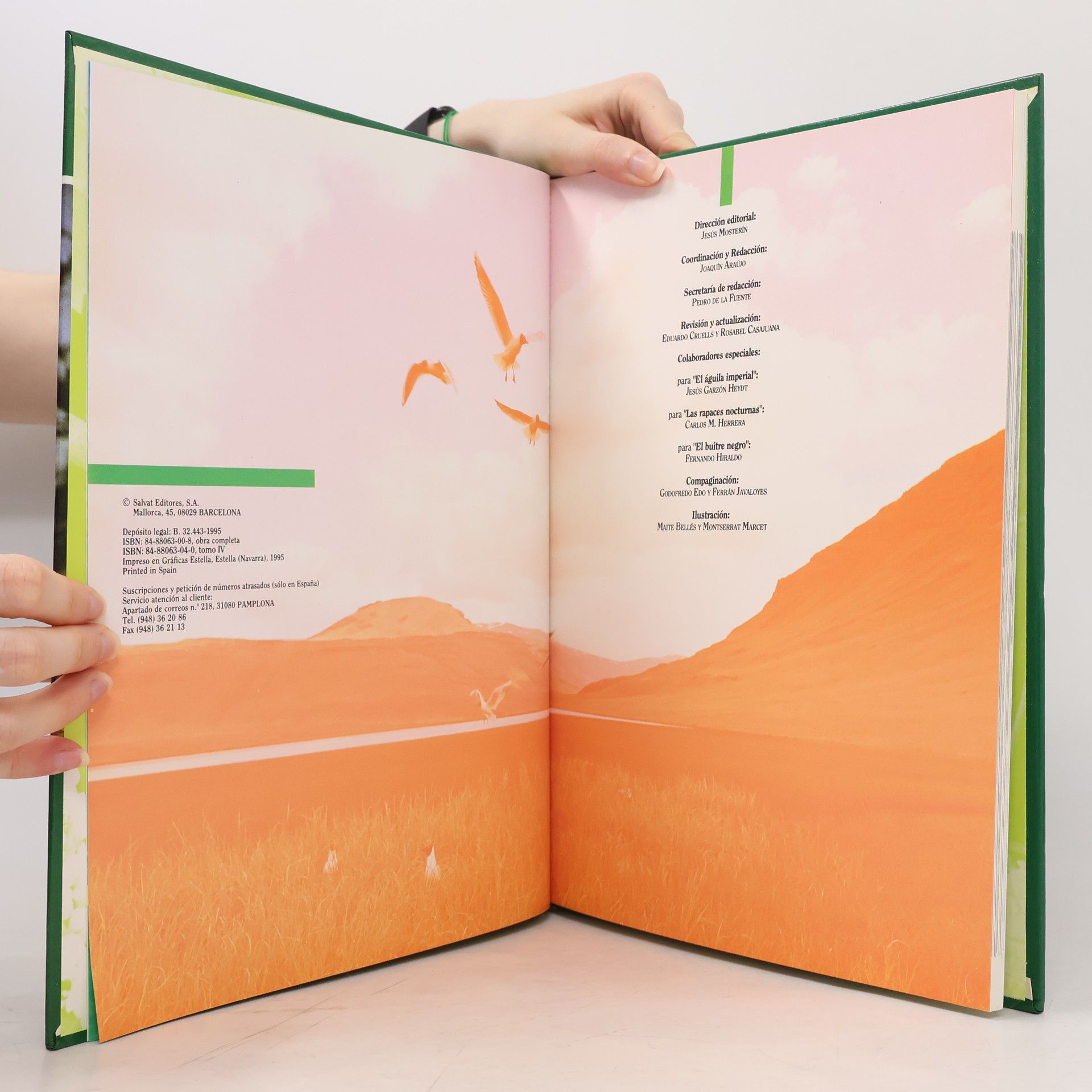 Autorenkollektiv Fauna Iberica 4
