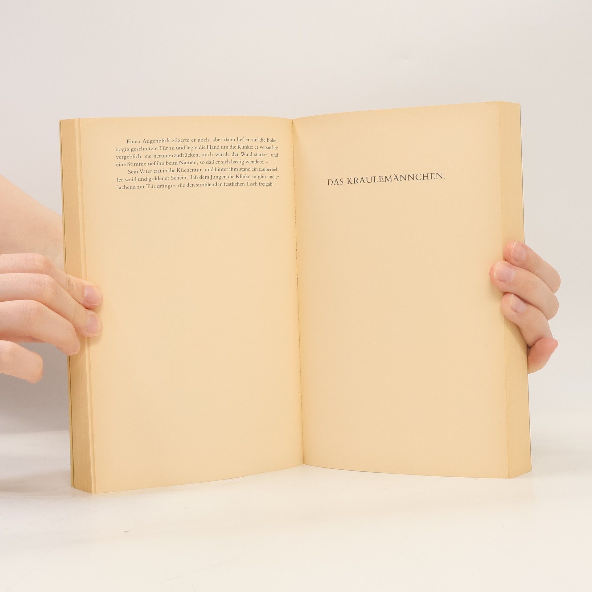 Arno Schmidt Juvenilia