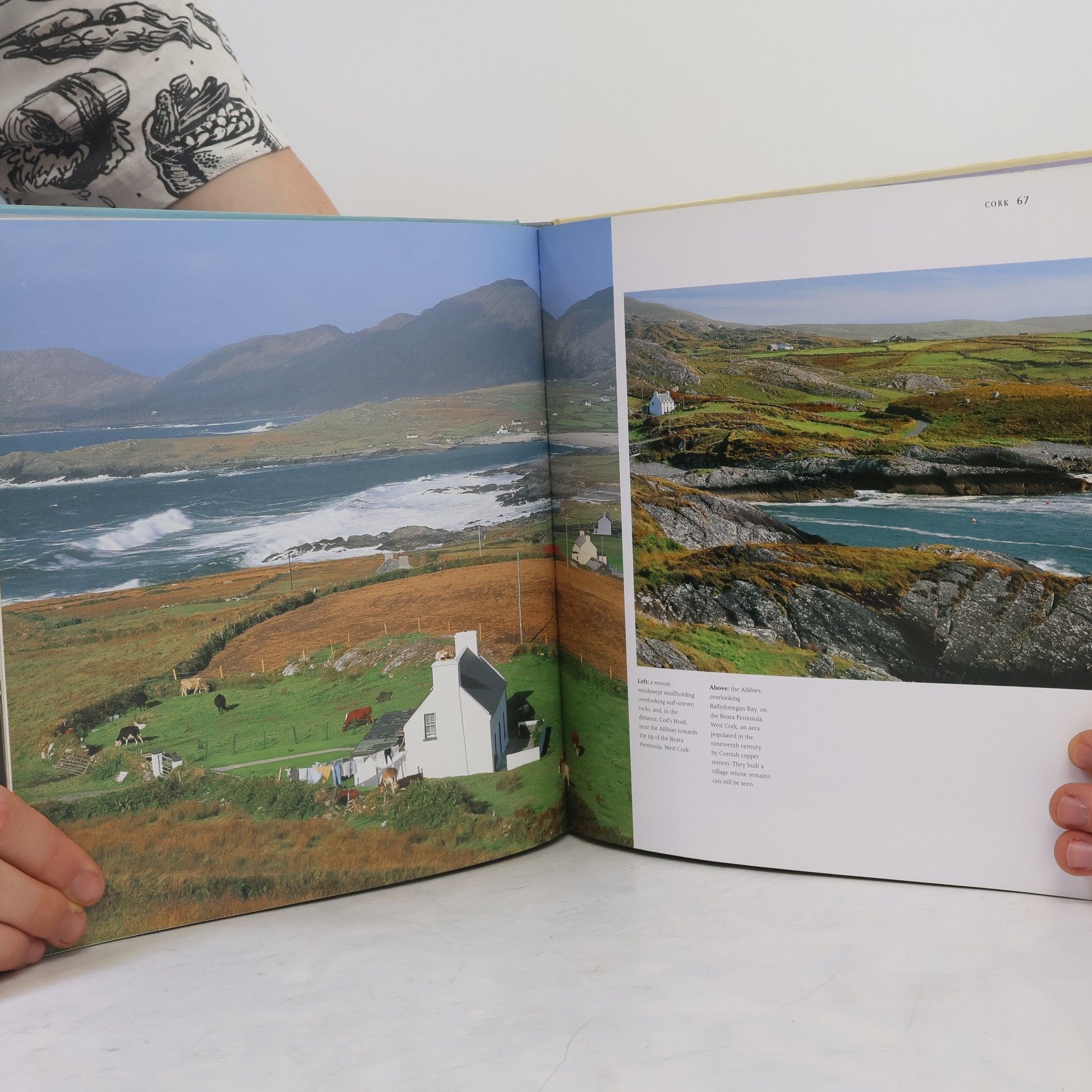 Mary Fitzgerald Beautiful Ireland