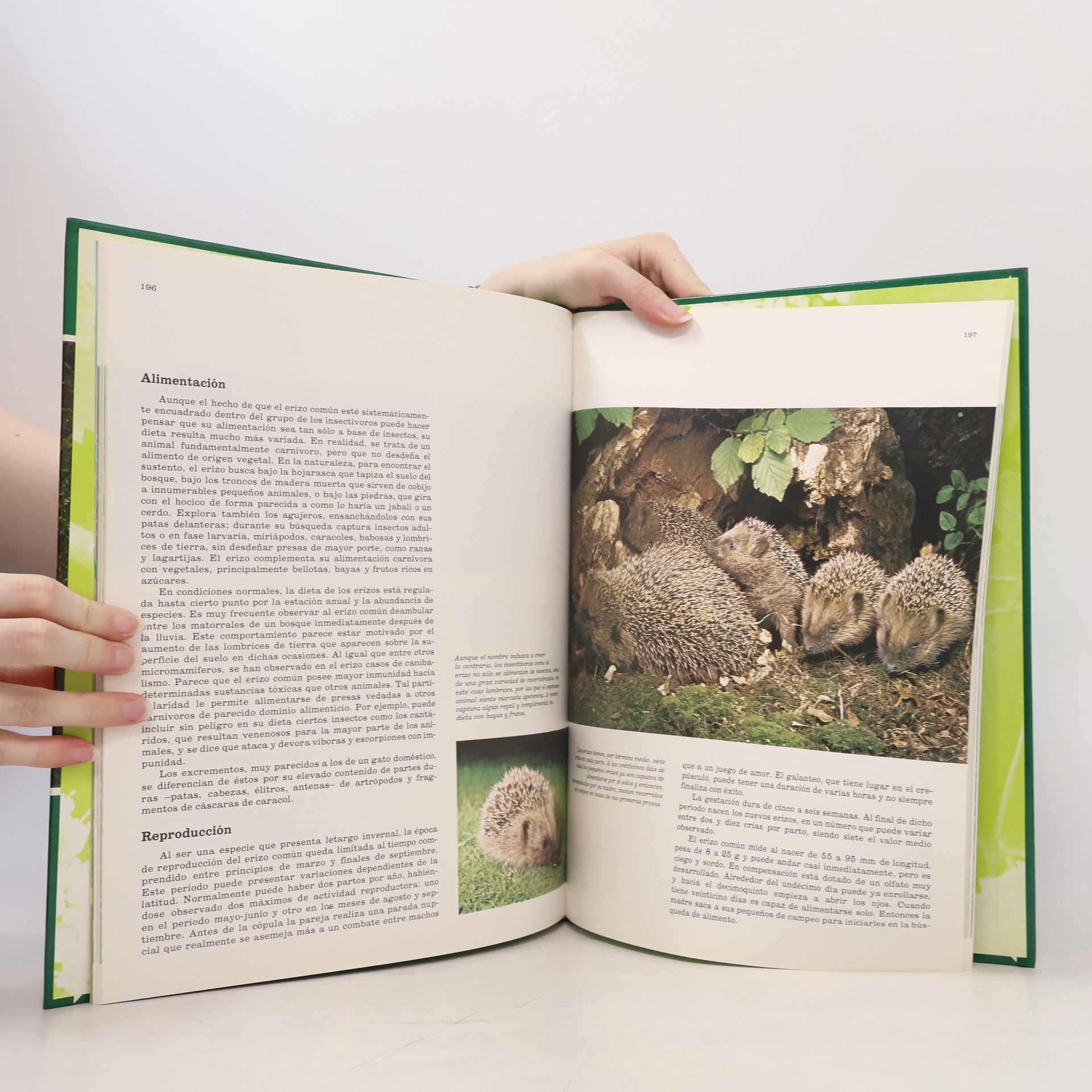 Autores varios Fauna Iberica 3