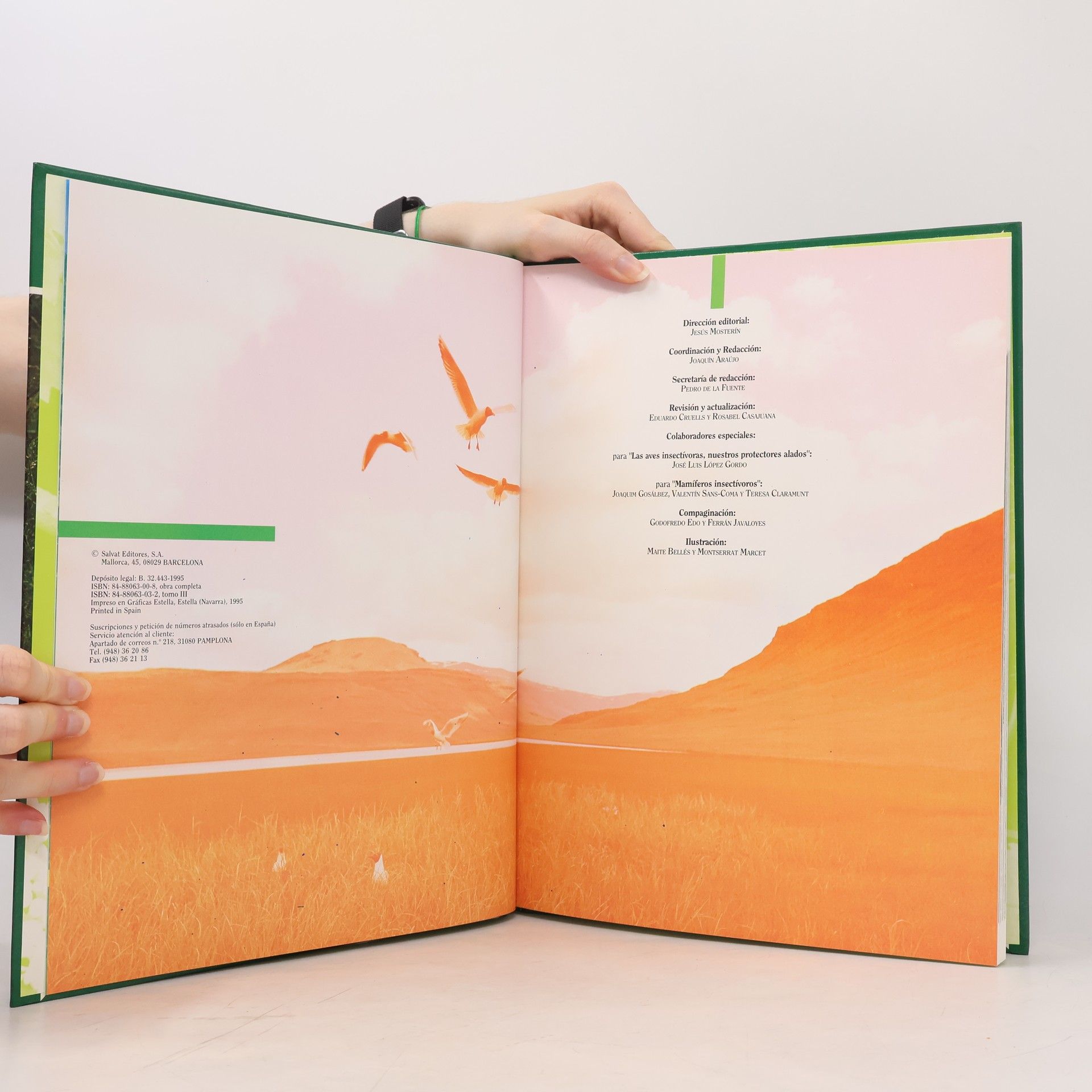 Autores varios Fauna Iberica 3