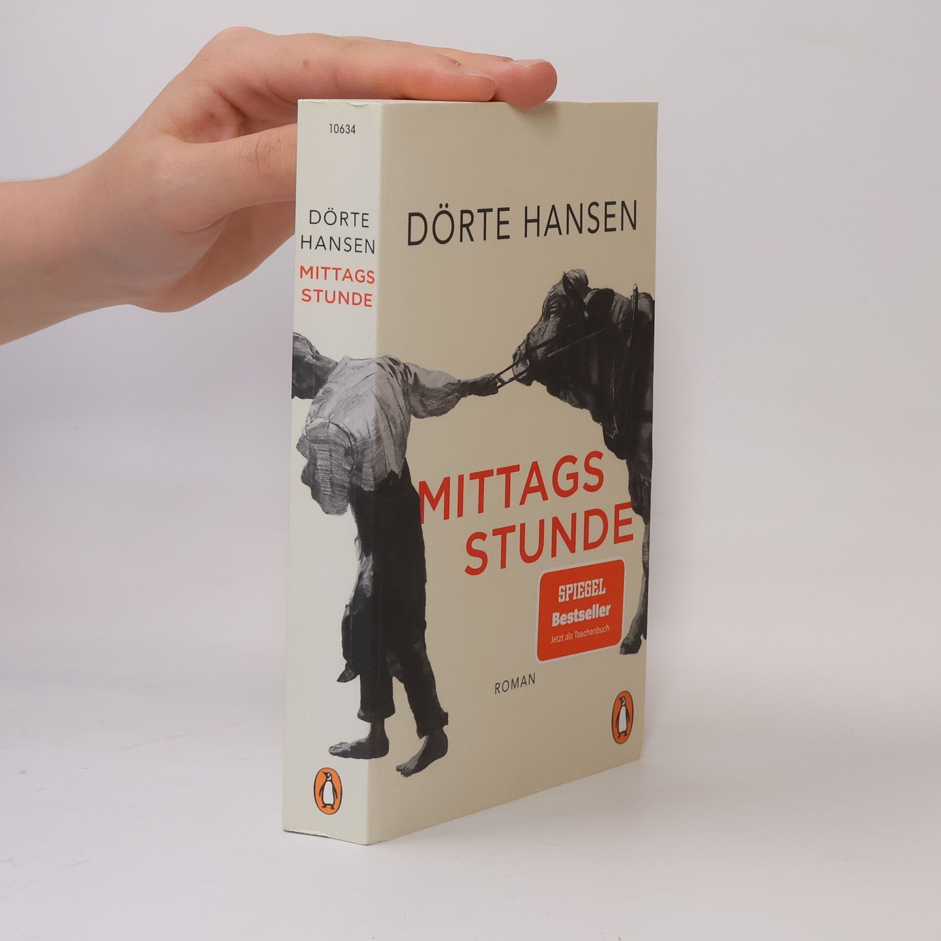 Dörte Hansen Mittagsstunde