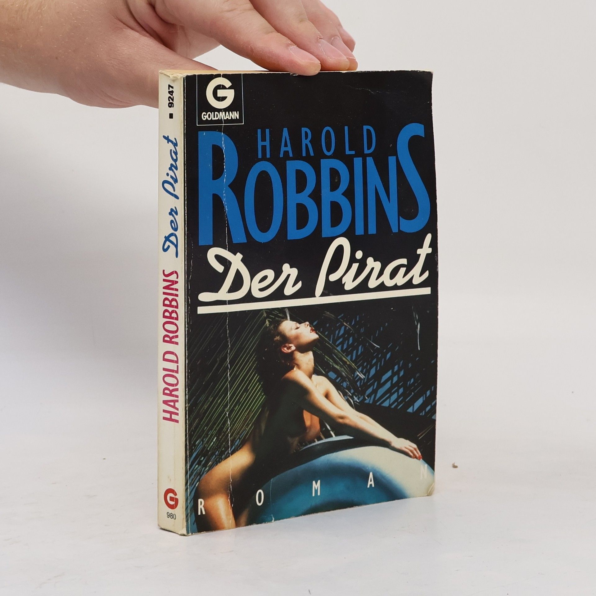 Harold Robbins Der Pirat