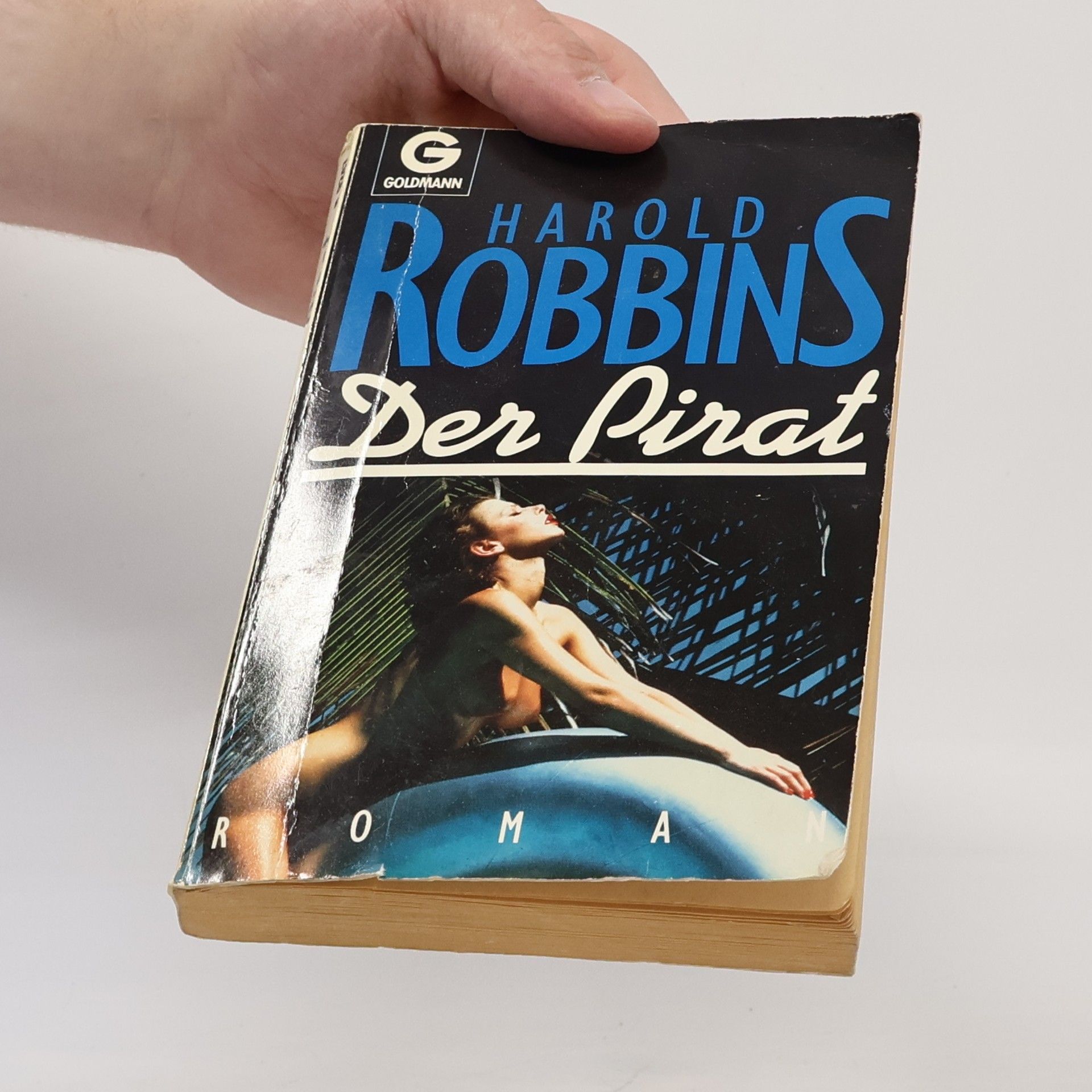 Harold Robbins Der Pirat