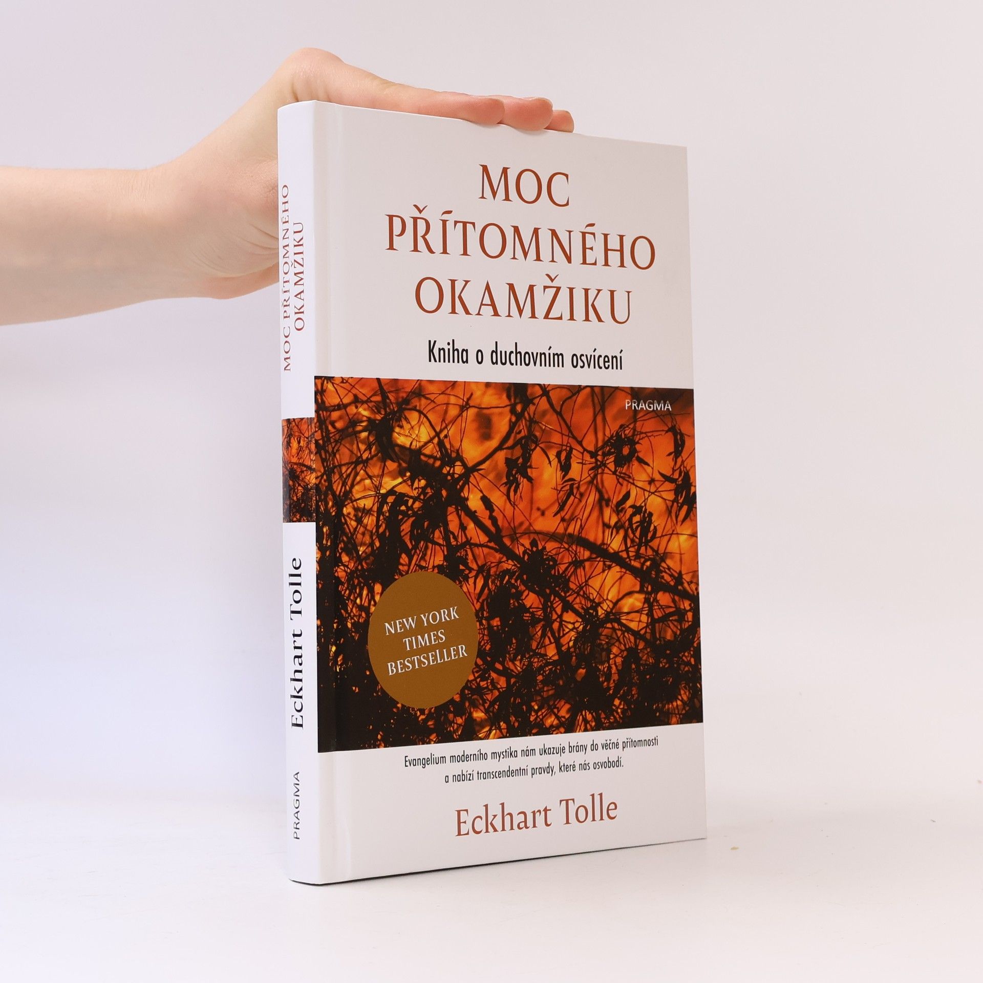 Eckhart Tolle Moc přítomného okamžiku