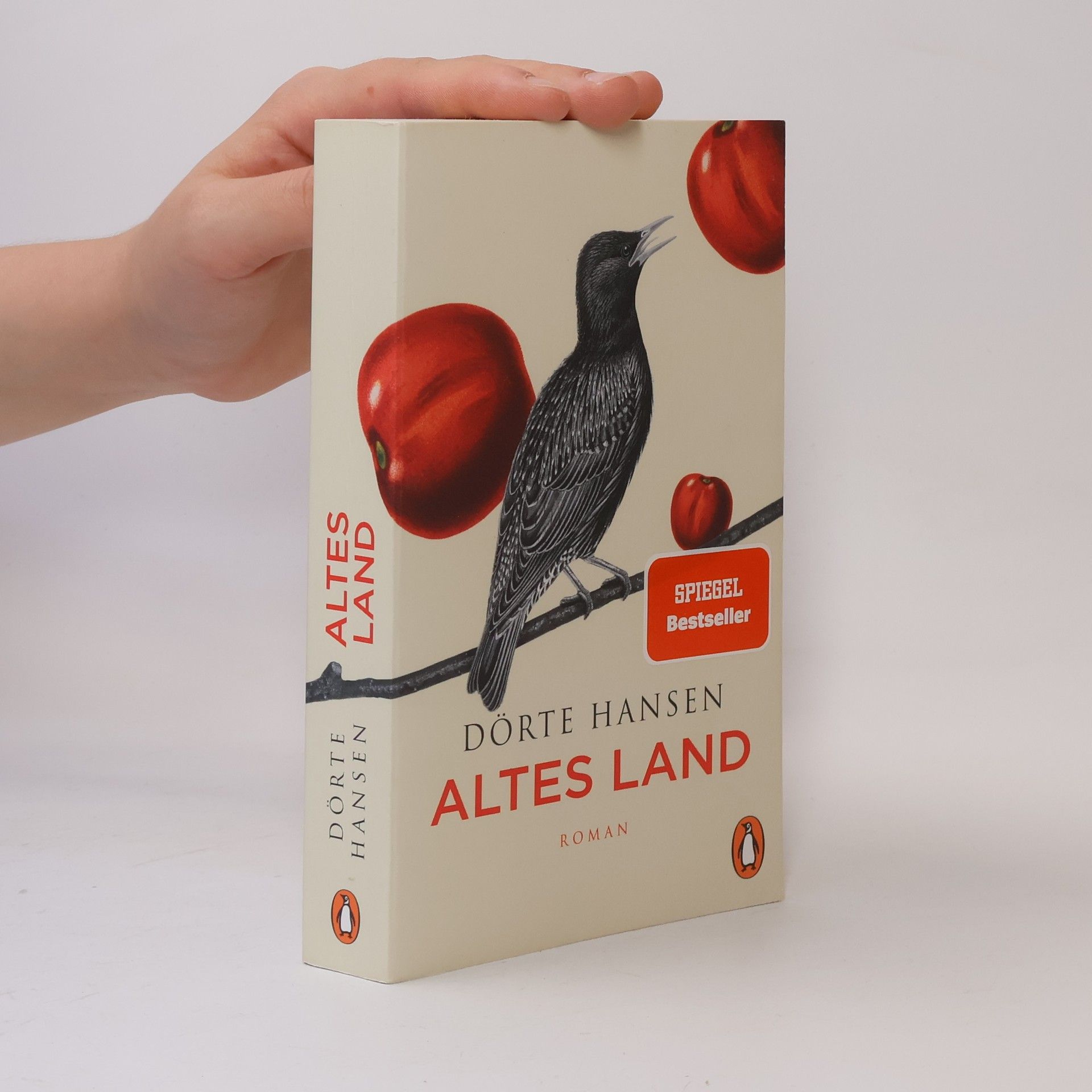 Dörte Hansen Altes Land