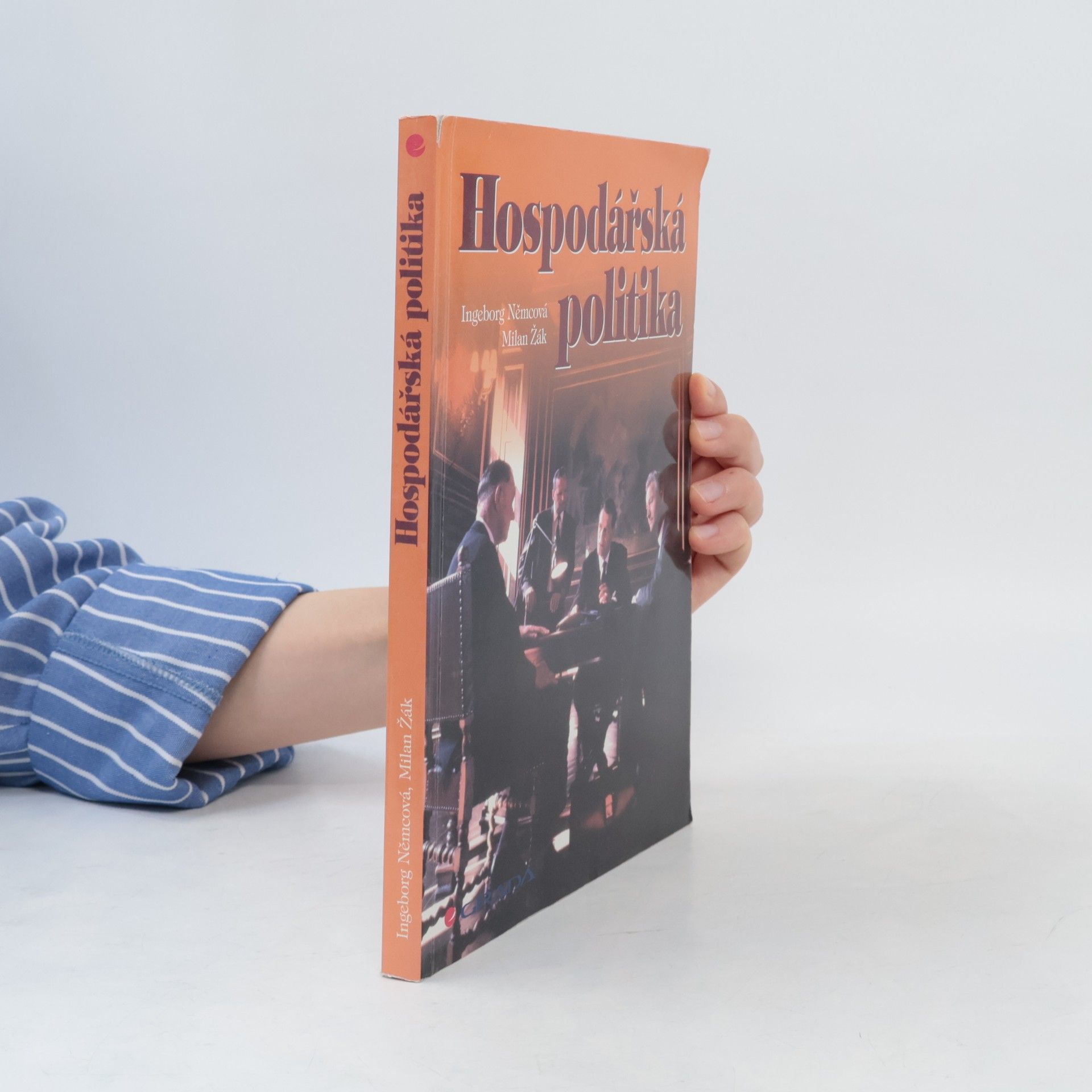 Ingeborg Němcová Hospodářská politika