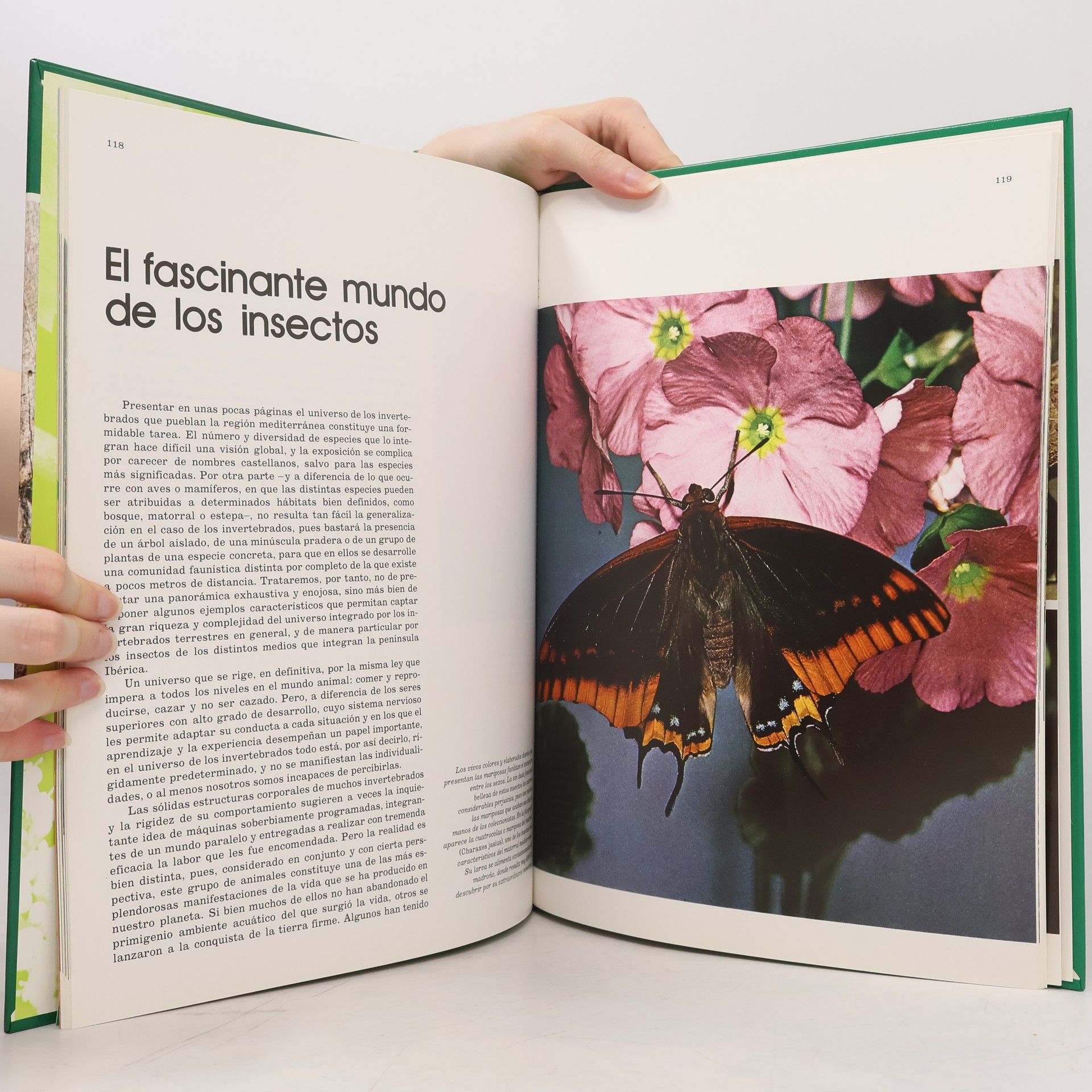 Félix Rodríguez de la Fuente Fauna Ibérica 2