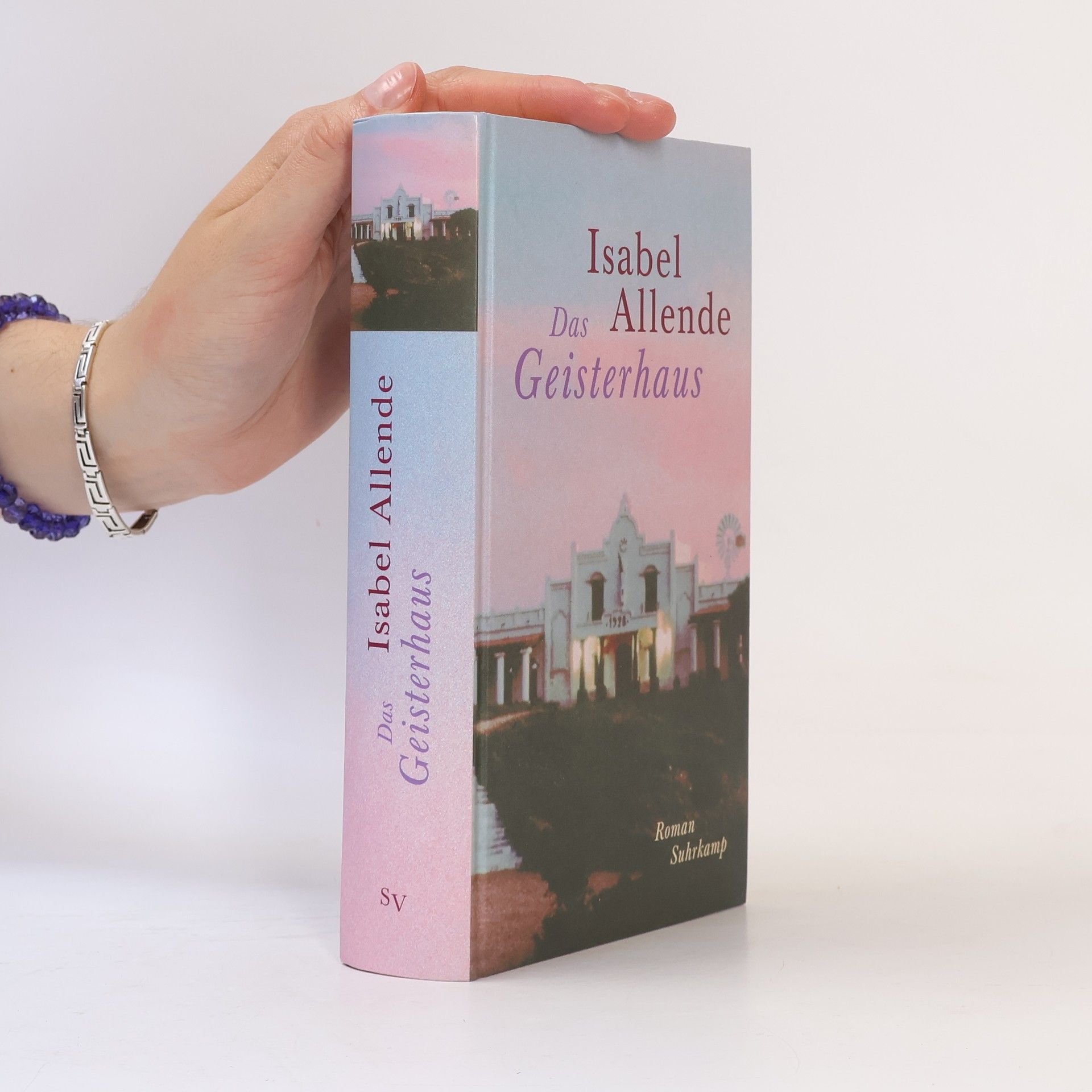 Isabel Allende Llona Das Geisterhaus