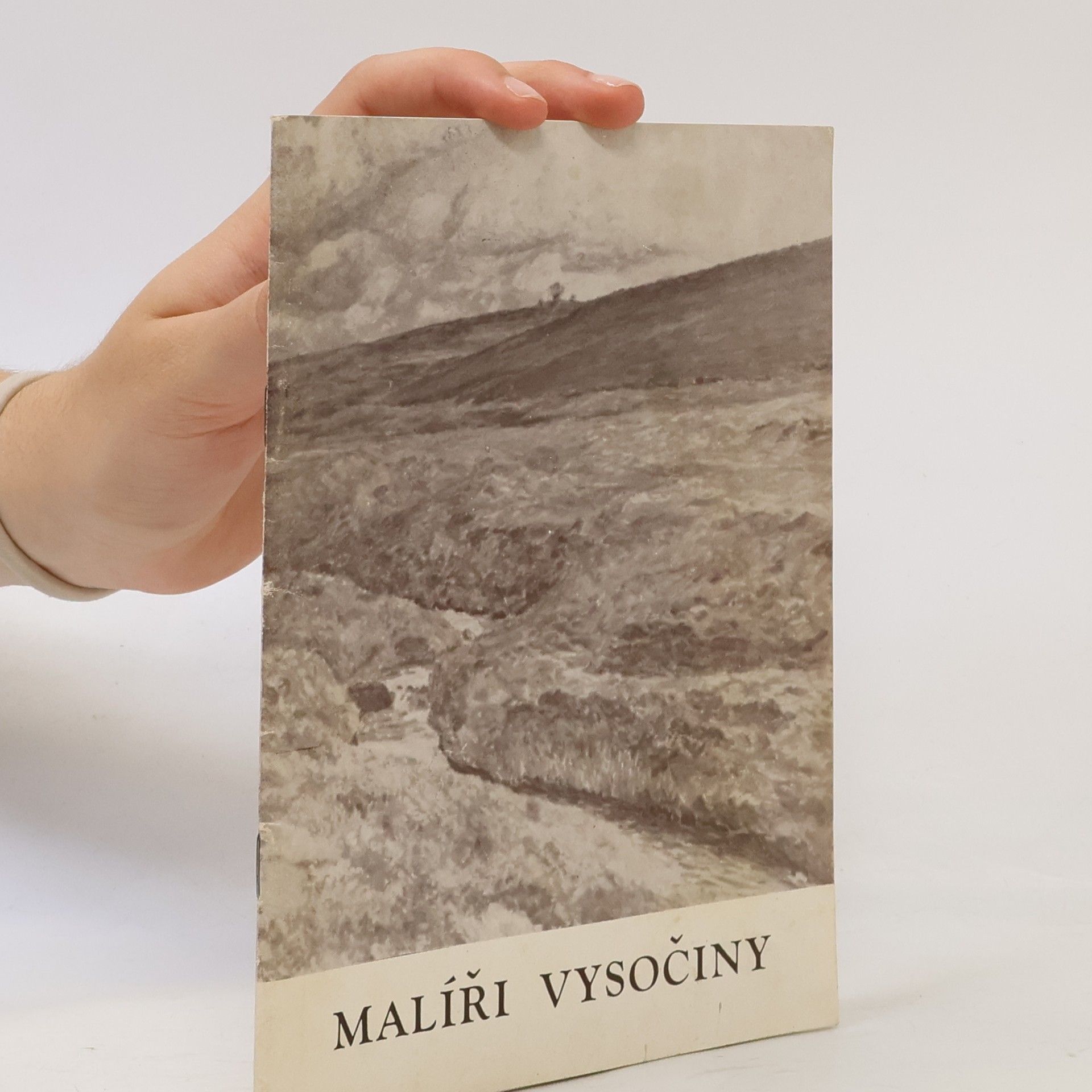 Jitka Boučková Malíři Vysočiny