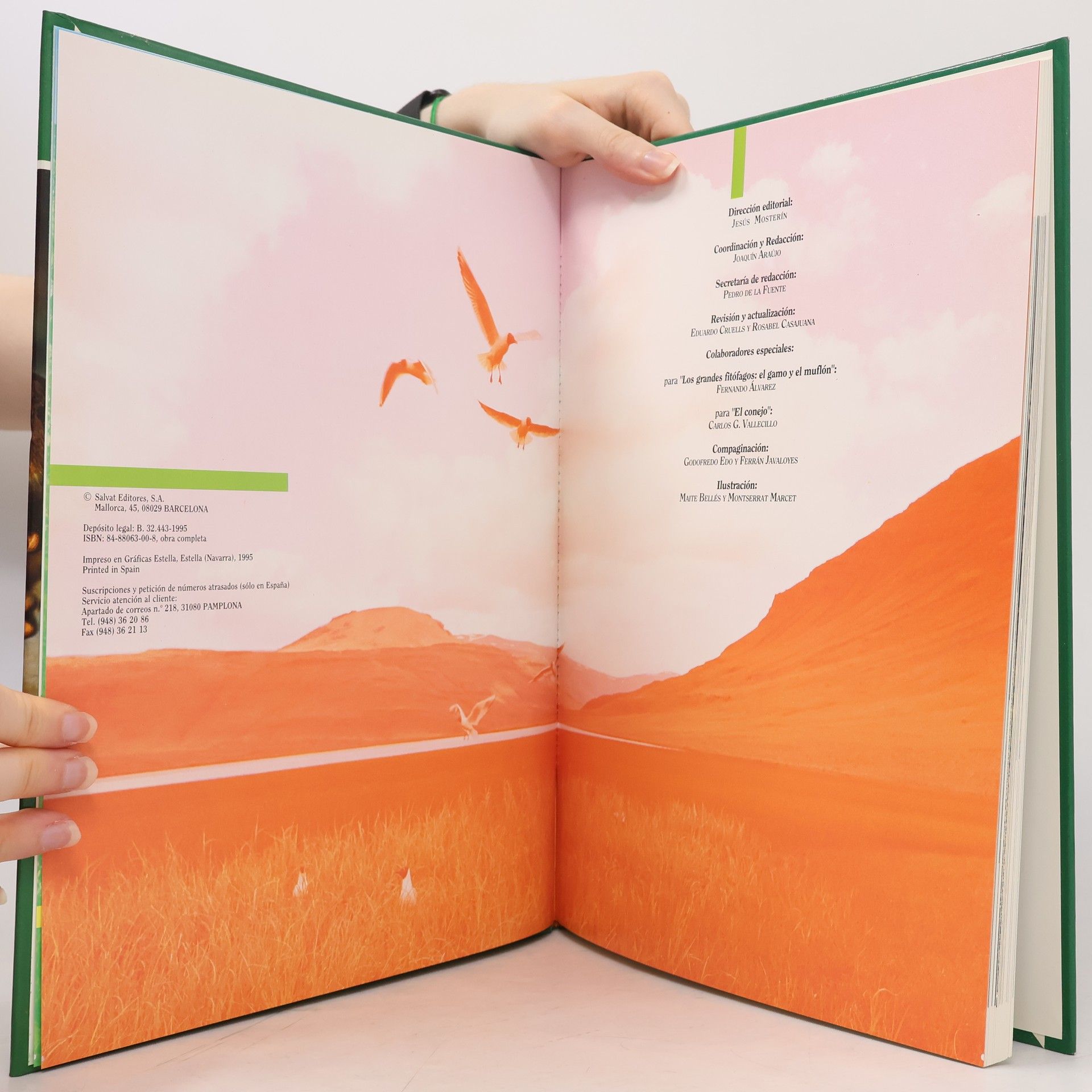 Autorenkollektiv Fauna Iberica