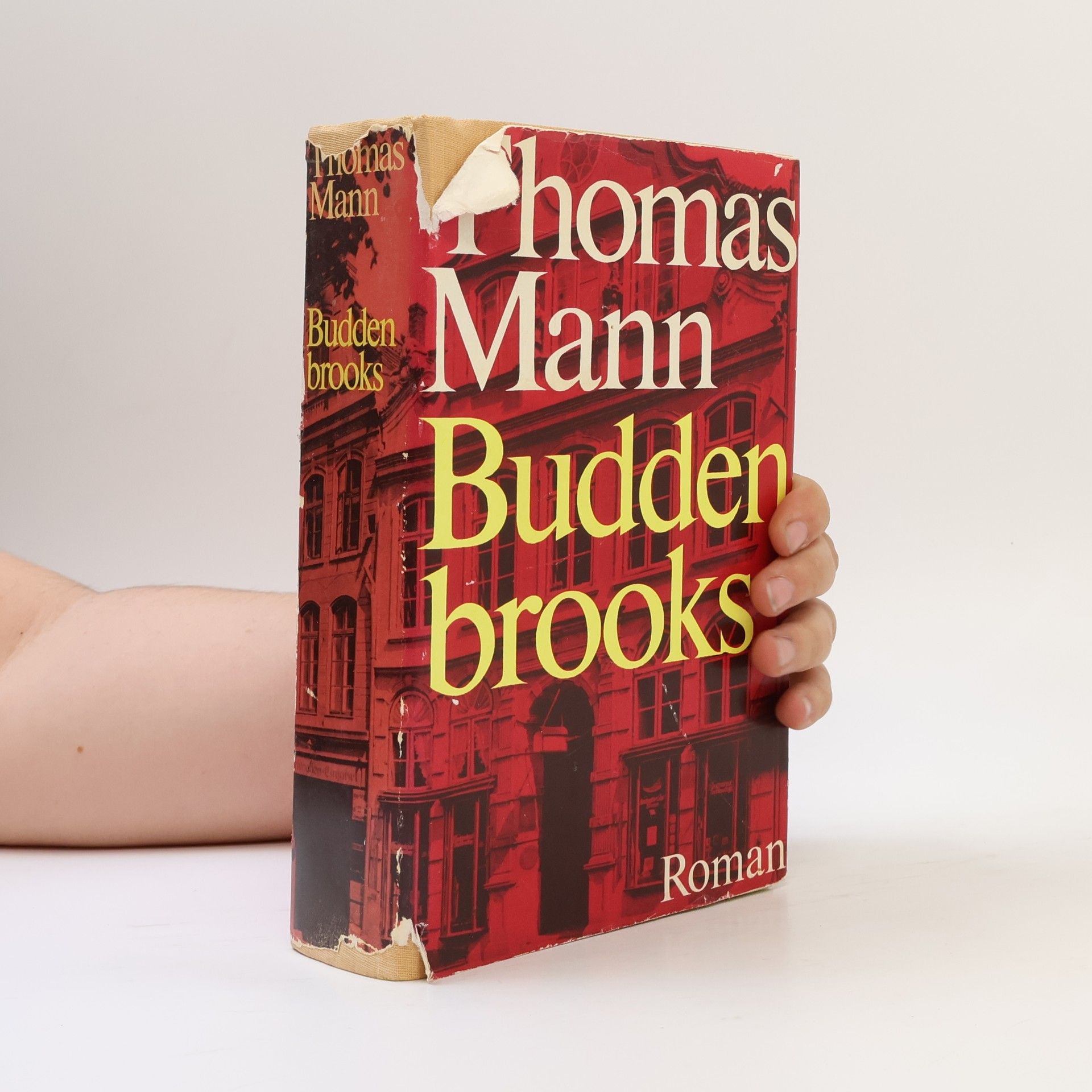 Thomas Mann Buddenbrooks