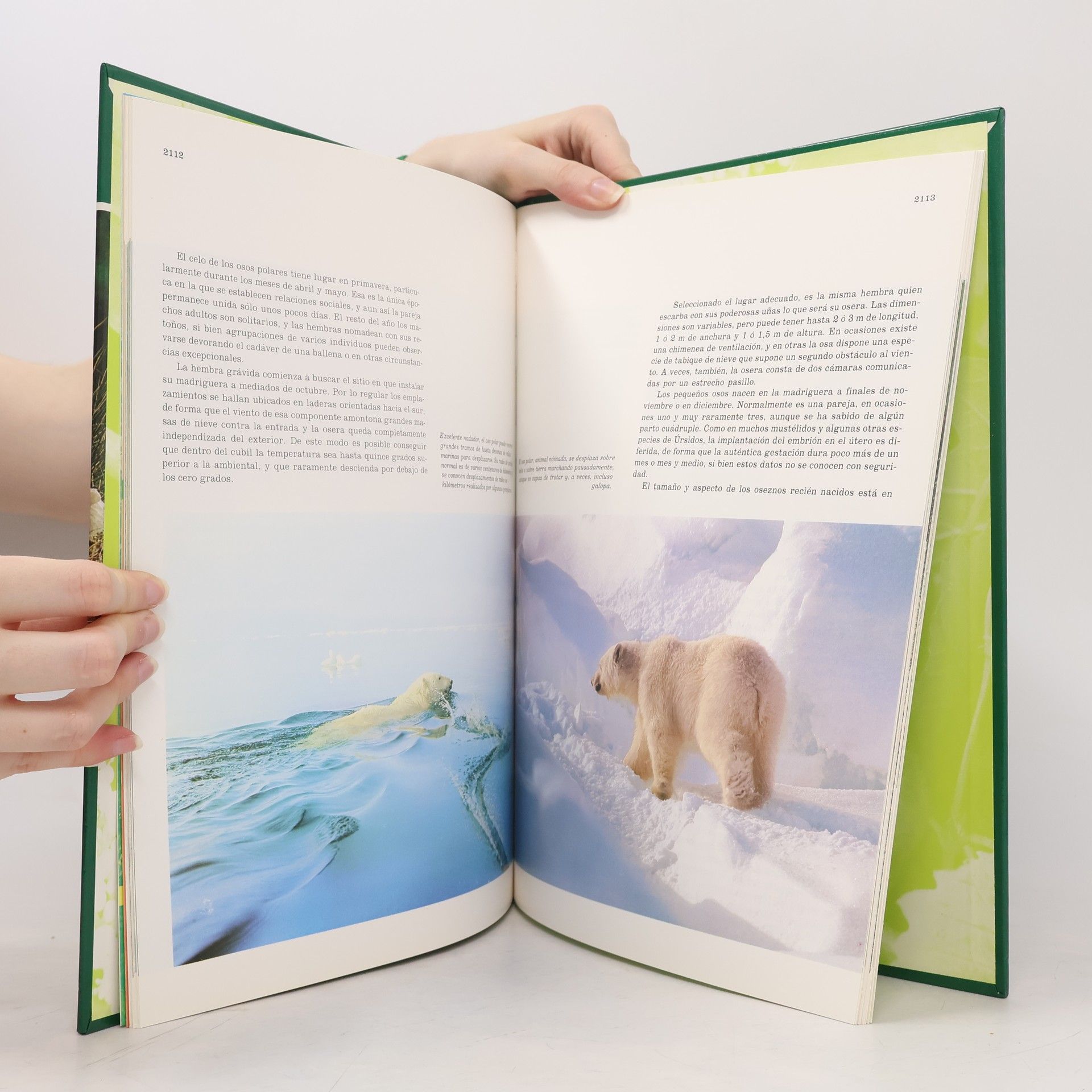 Autores varios Fauna ibérica 27