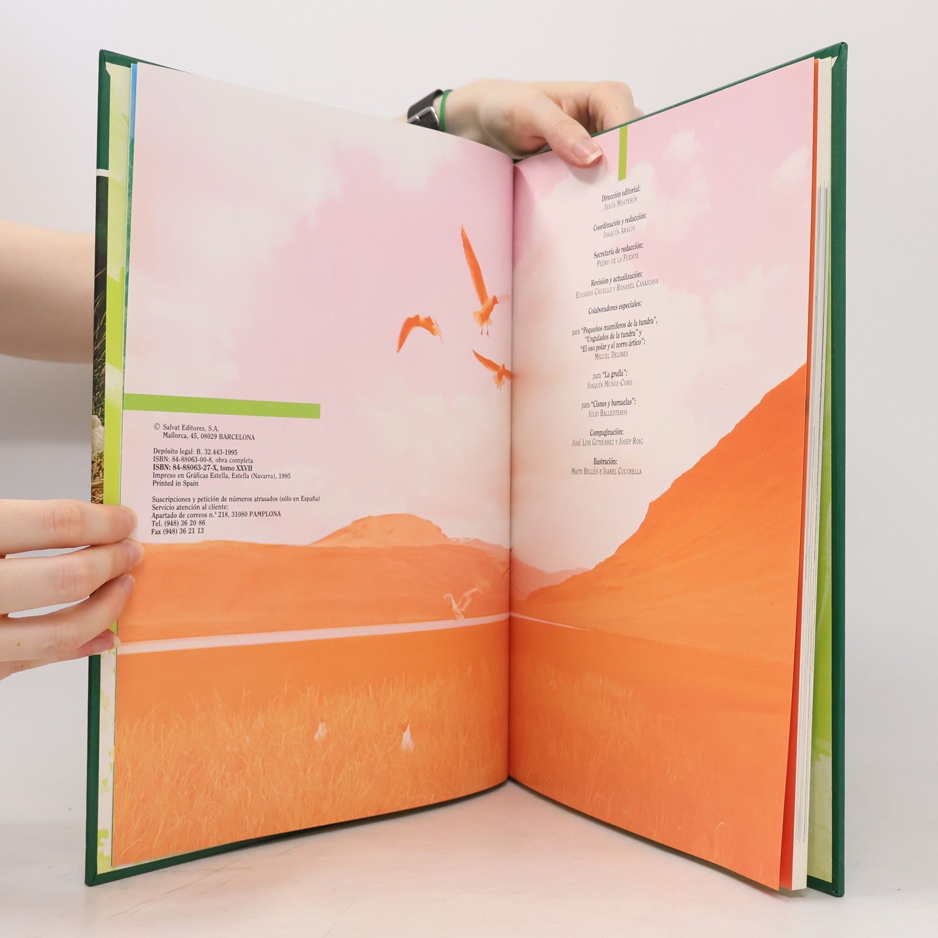 Autores varios Fauna ibérica 27