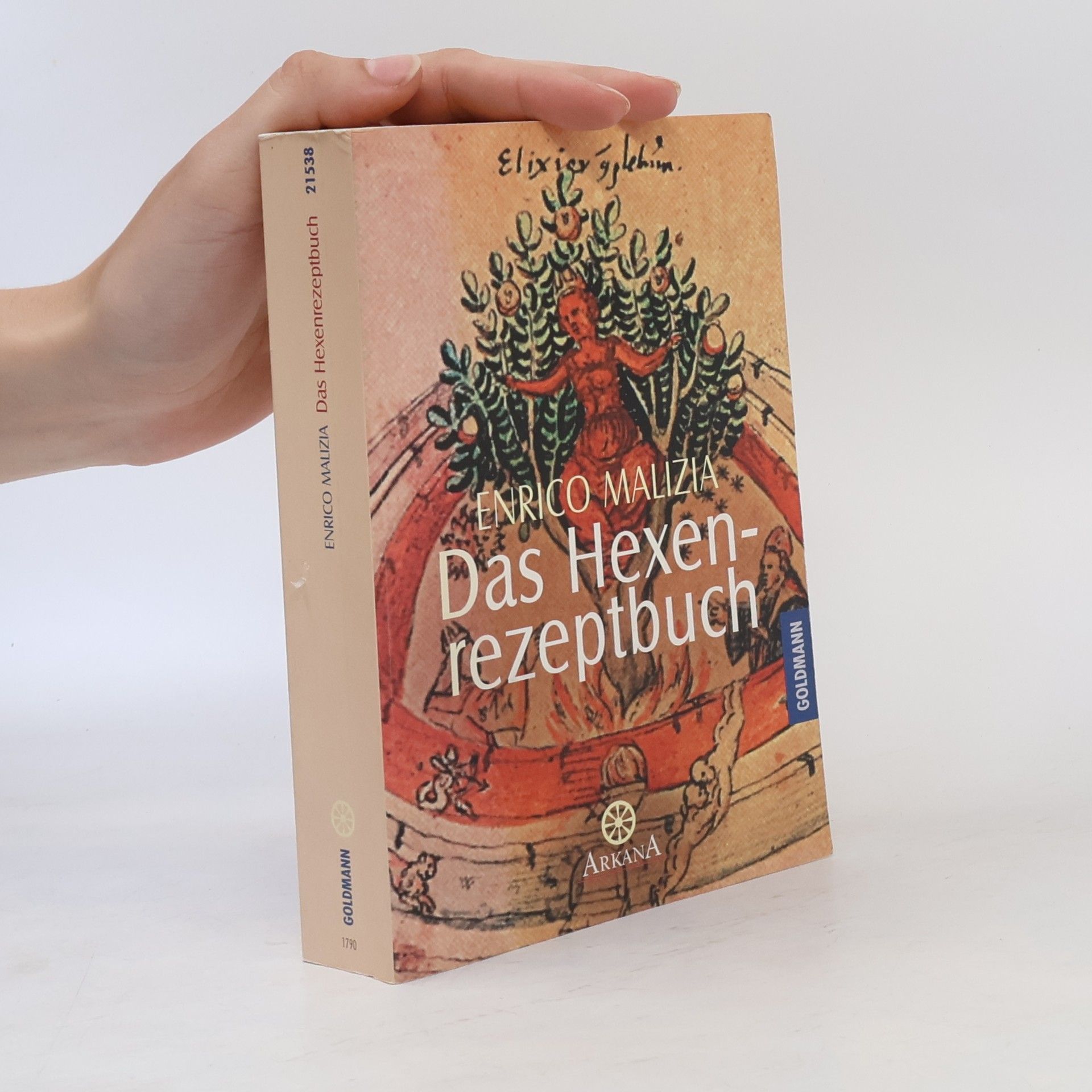 Enrico Malizia Das Hexenrezeptbuch
