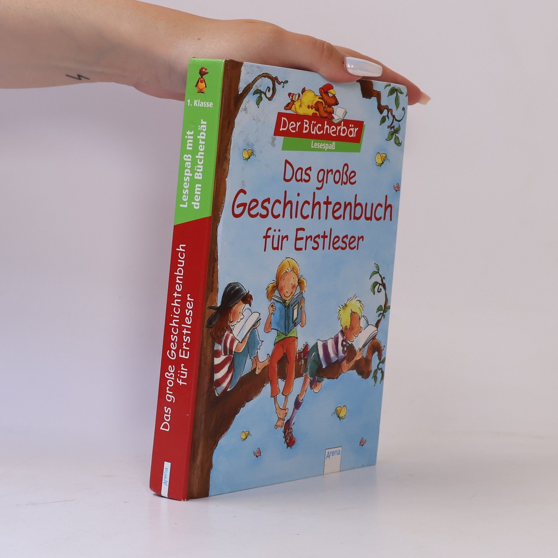 Various authors Das große Geschichtenbuch für Erstleser