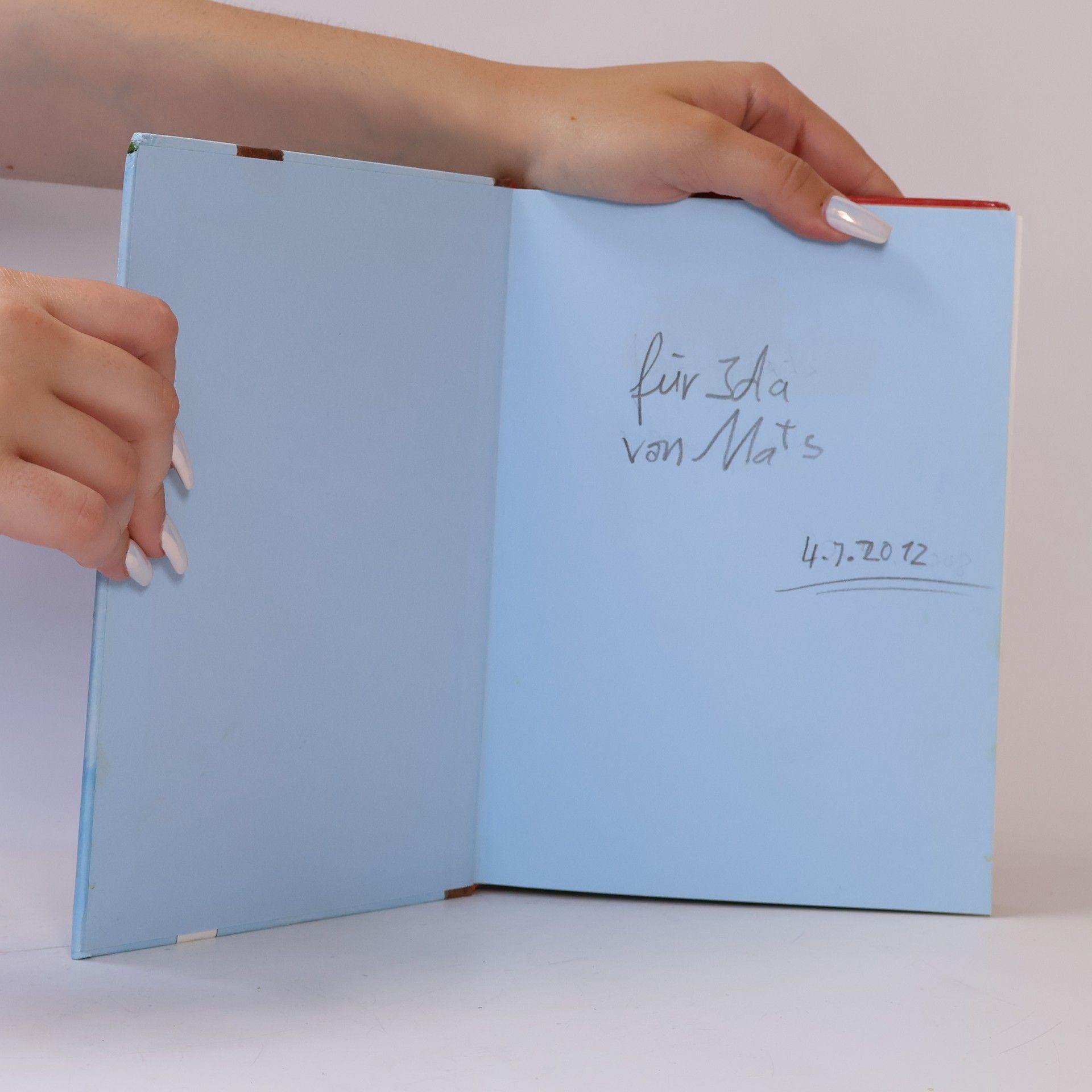 Various authors Das große Geschichtenbuch für Erstleser
