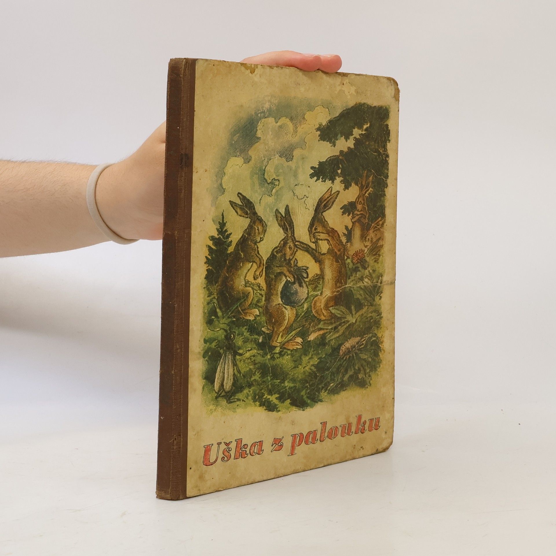 Marie Krejčová Uška z palouku